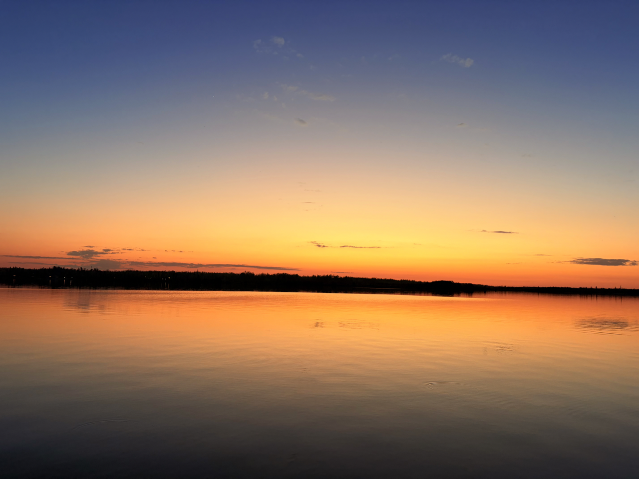 IMG_2348 Large.png