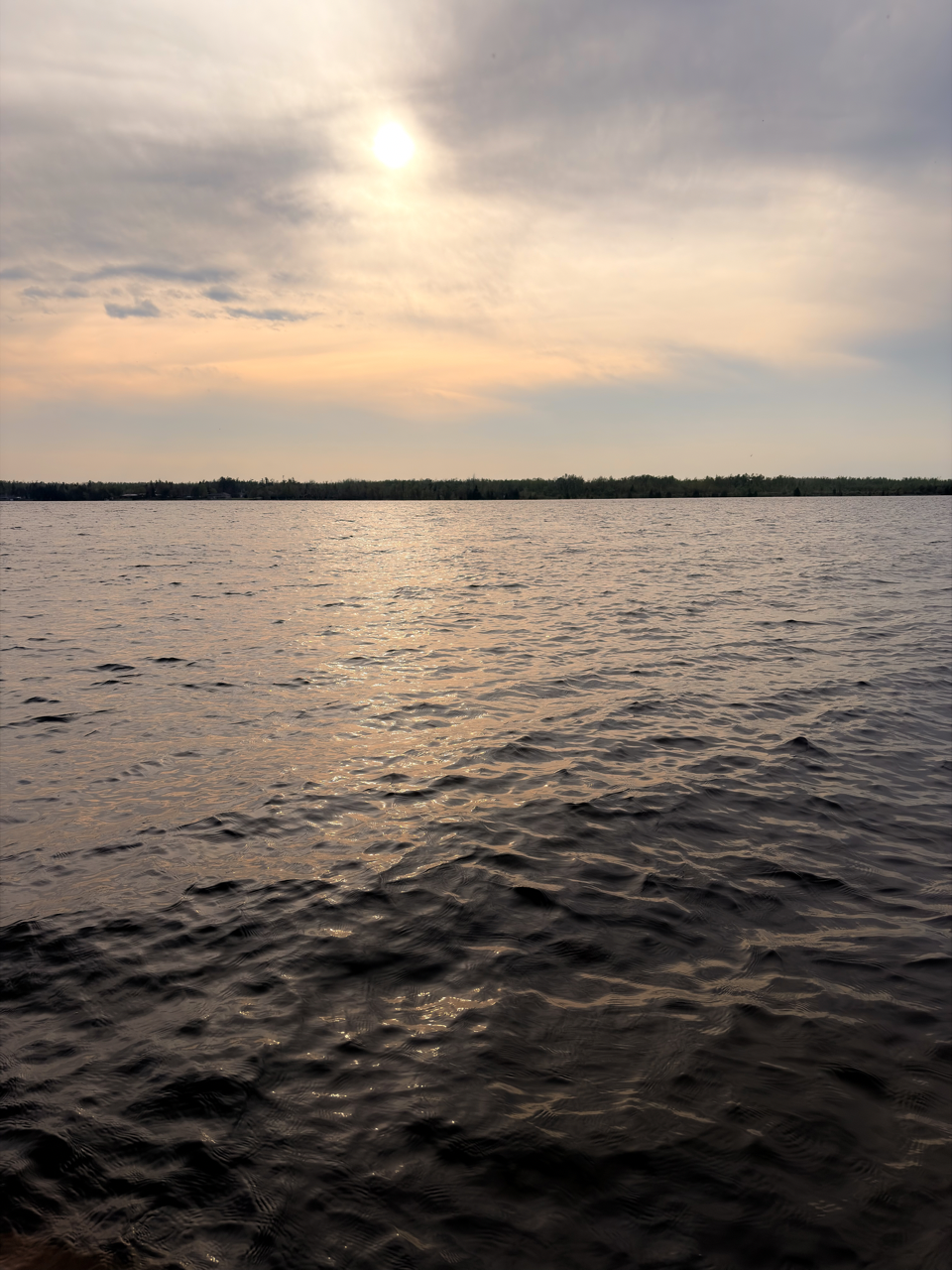 IMG_2387 Large.png