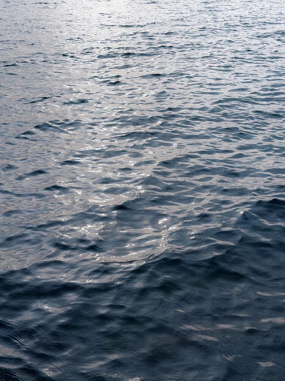 IMG_2388 Large.png