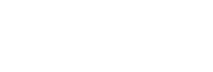 Black and white logo with the text 'BINK DEVELOPMENT' in bold, stylized fonts.