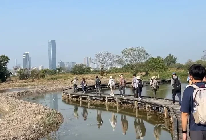Conservation in the Concrete Jungle