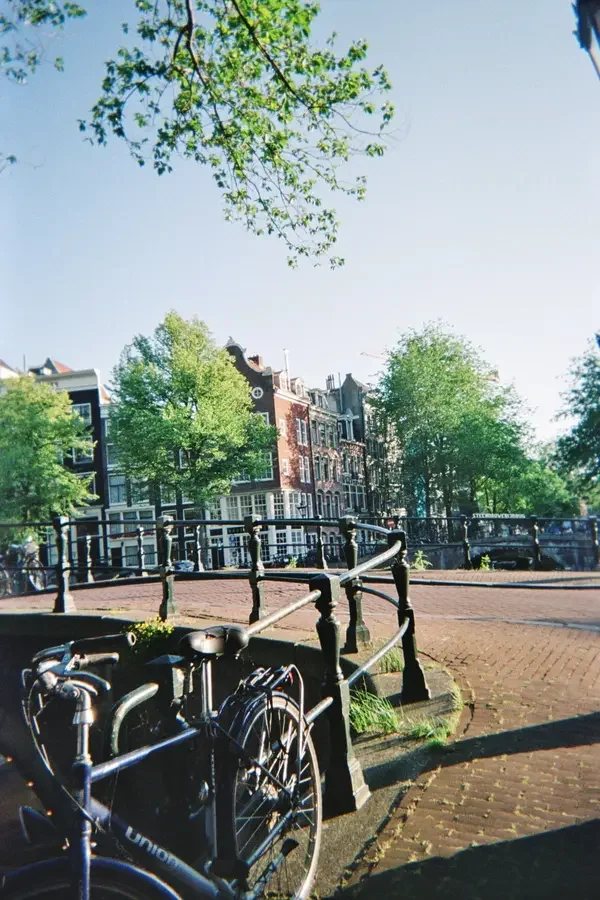 What Biking in Amsterdam Taught me about Social Progress