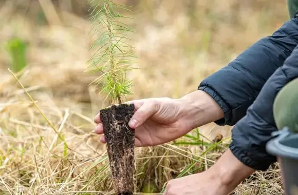 Climate solutions with Project Drawdown