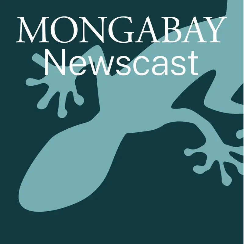 Mongabay Newscast: news from nature Mongabay.com