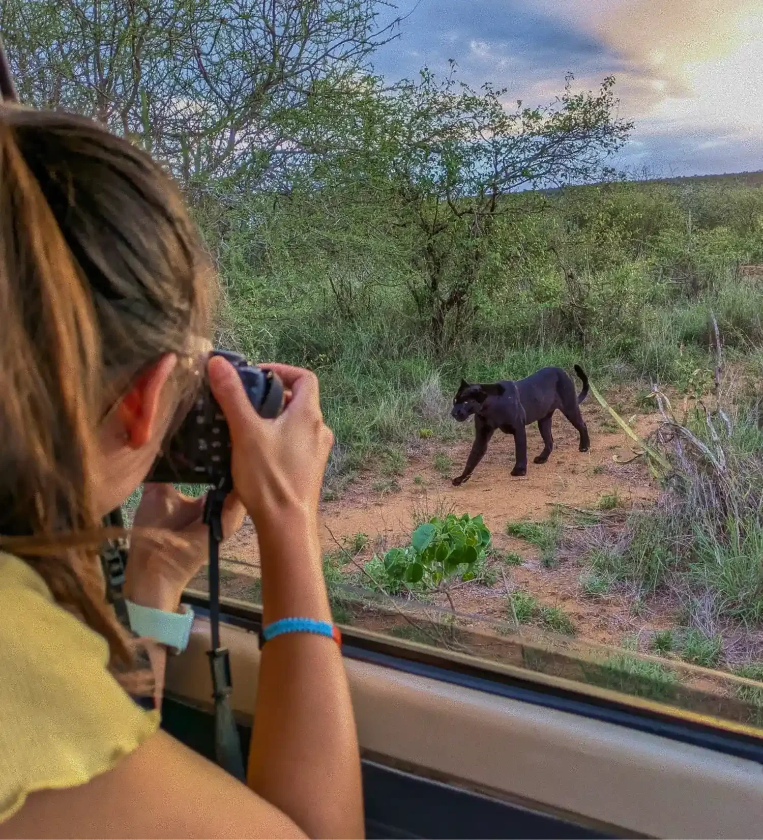 Environmental communicator Eugenia Chow photographing a wild black leopard from a vehicle window at Mpala Research Centre in Laikipia, Kenya.