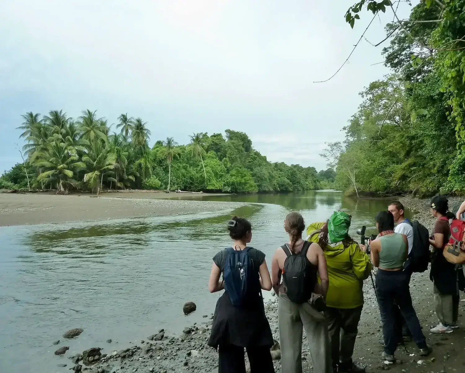 A small group of travelers with backpacks stands on a gravel riverbank looking across the water toward a dense palm tree shoreline.