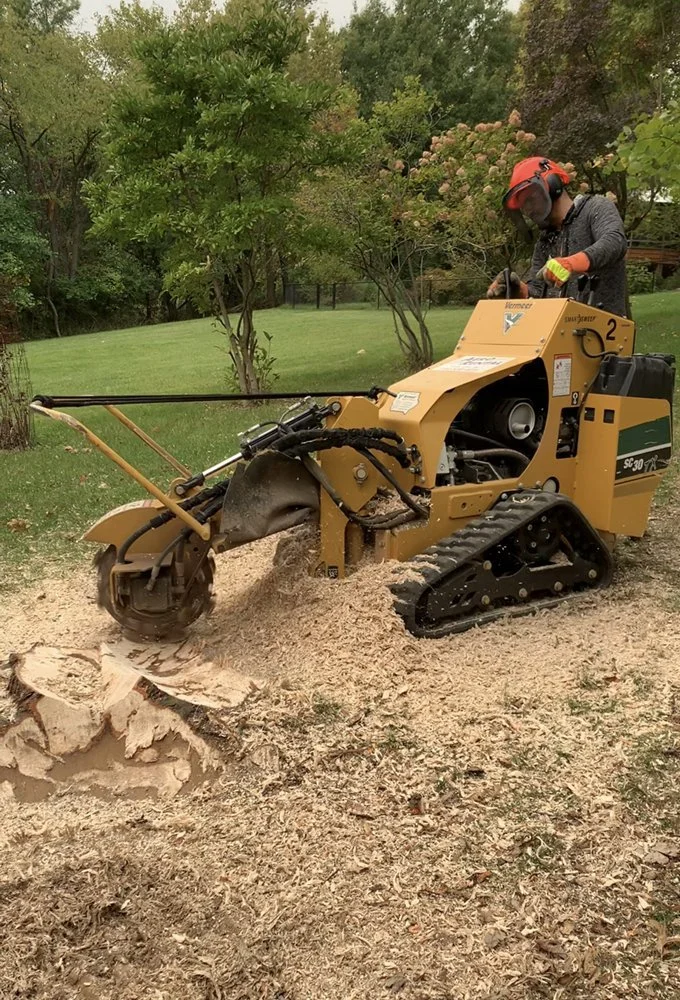 A person in safety gear, including a red helmet and orange gloves, operating a small tracked stump grinder on a grassy area with trees in the background.