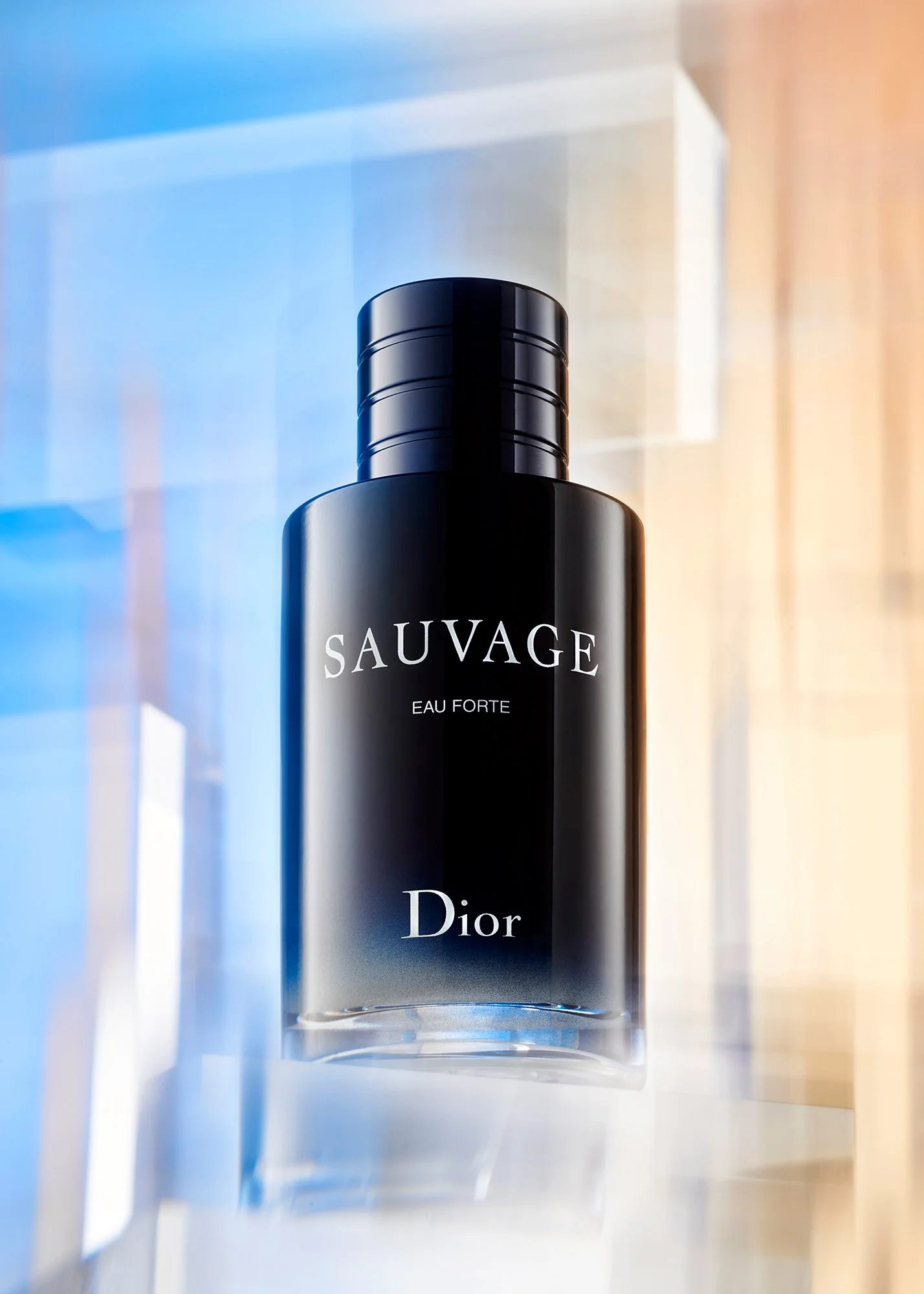 Dior copy sRGB(2000).jpg