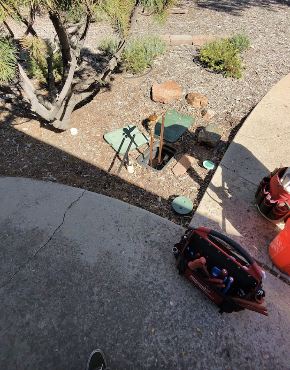 An outdoor garden area with a tree, small plants, and gardening tools including a tool bag, a spray nozzle, and two green watering cans. There's a sidewalk and shadowed area in the foreground.