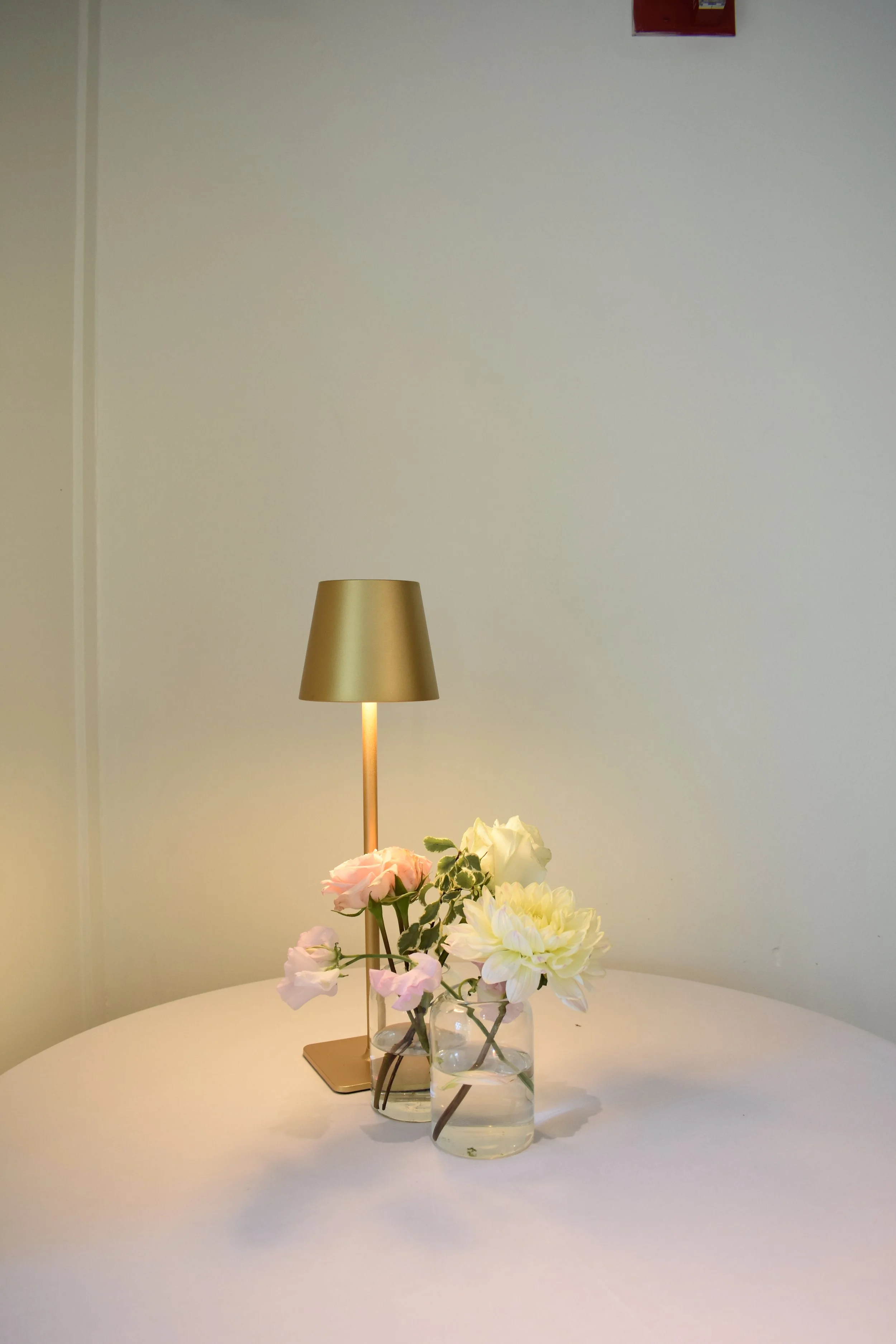 DSC_0254.jpeg