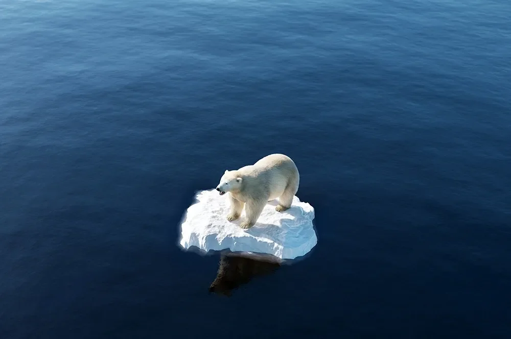 How Plastics Contribute to Global Warming