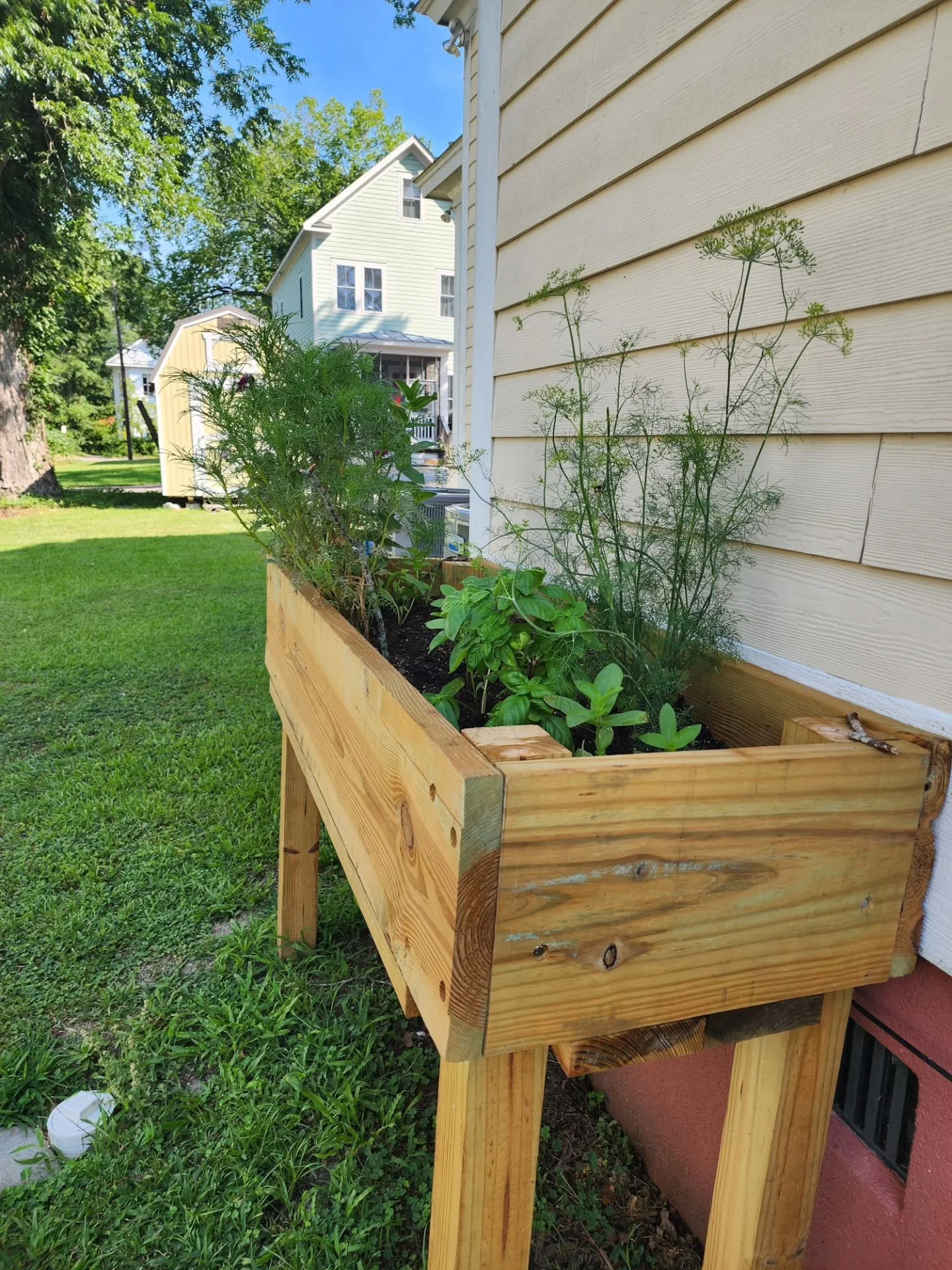 My week has involved a lot of planning, organizing, collaborating, touching base with friends, lots of Eris time 🥰, back porch creating, a little bit of time to breathe and catch my breath before the marathon of the next couple weeks begin.

I am ex