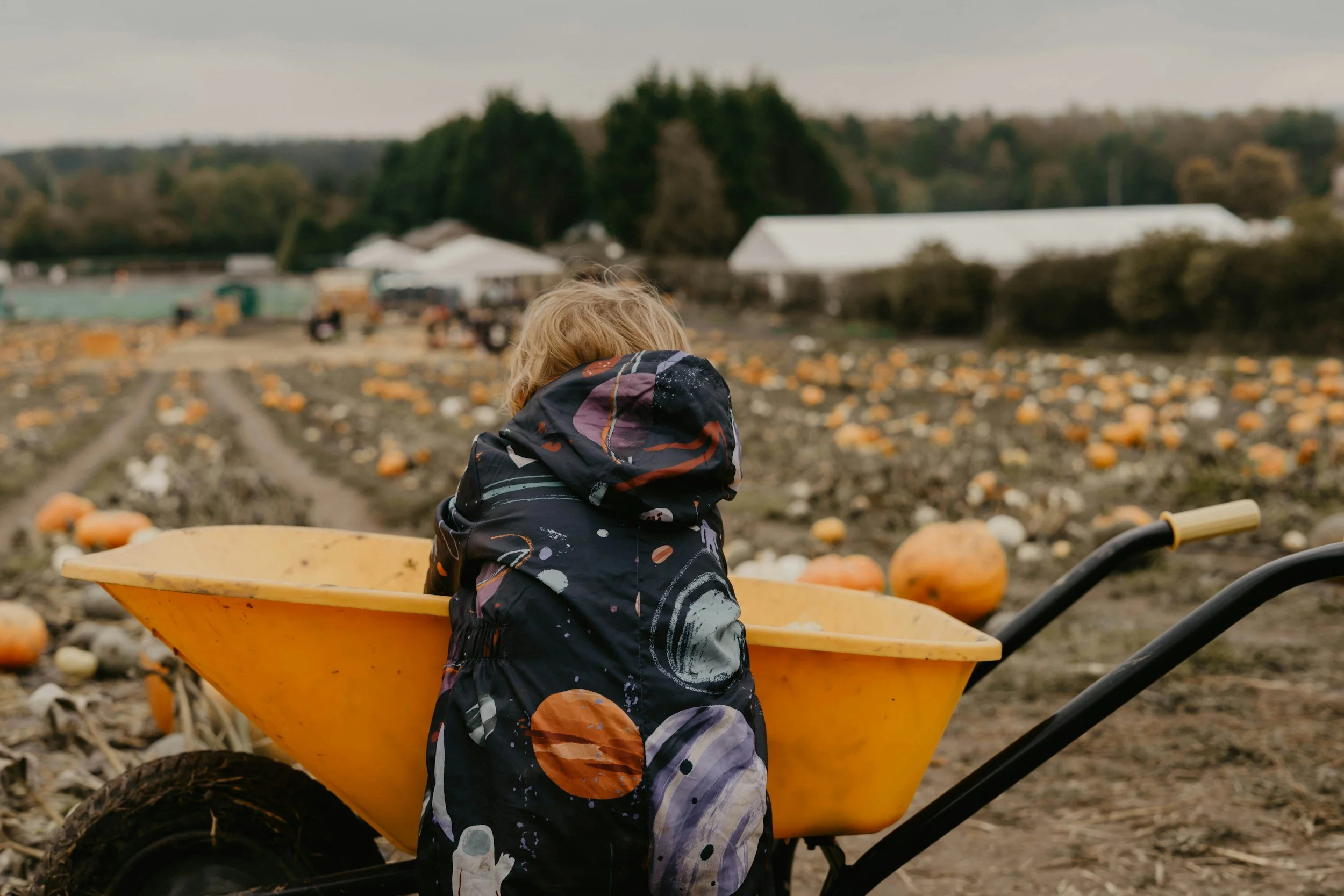 Fall Outing Essentials for Babies and Toddlers