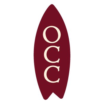 Small Surfboard Icon