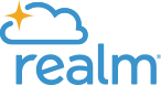 Realm logo featuring a stylized cloud with the company name beneath in blue.