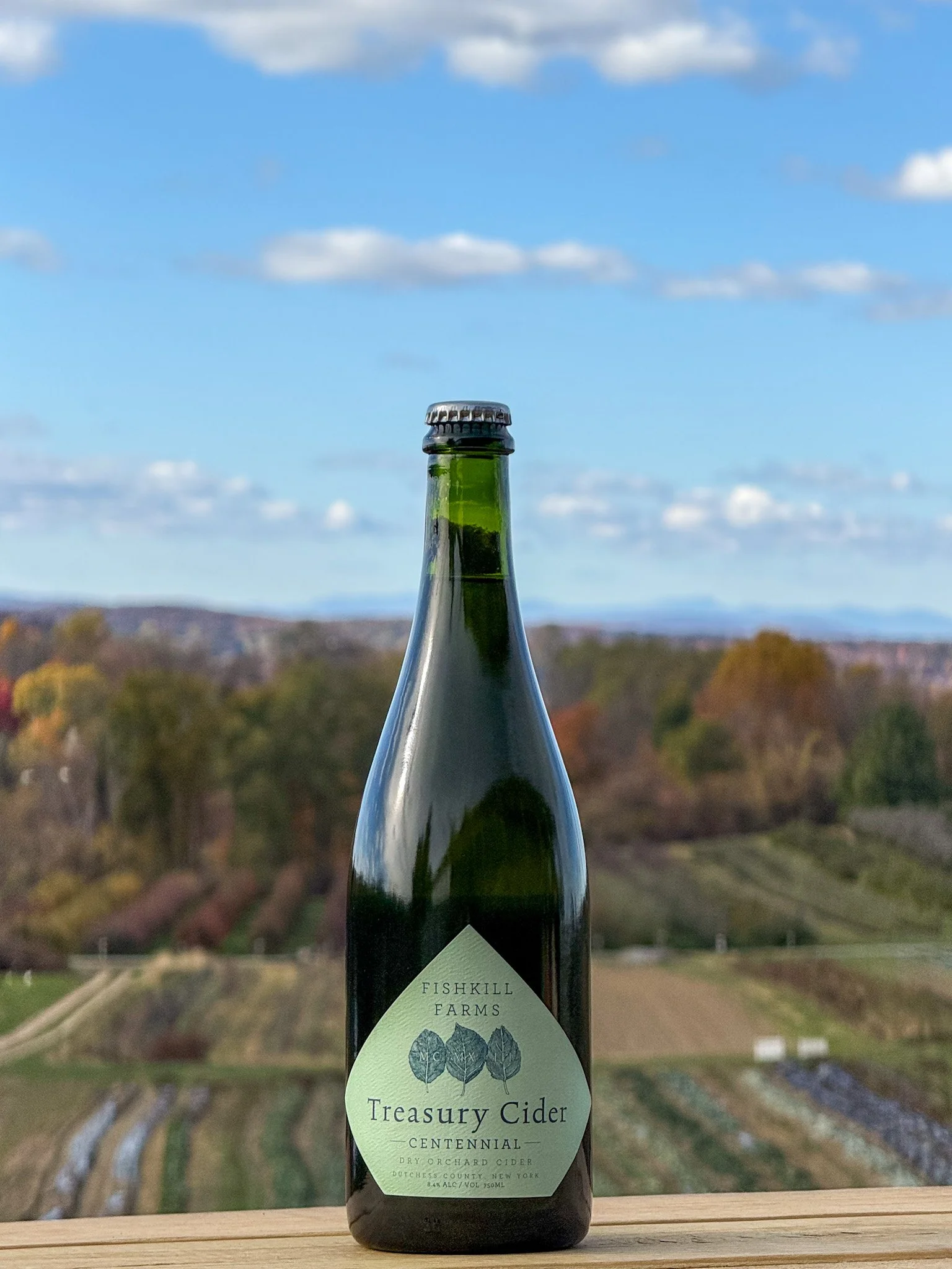 Treasury Cider "Centennial"