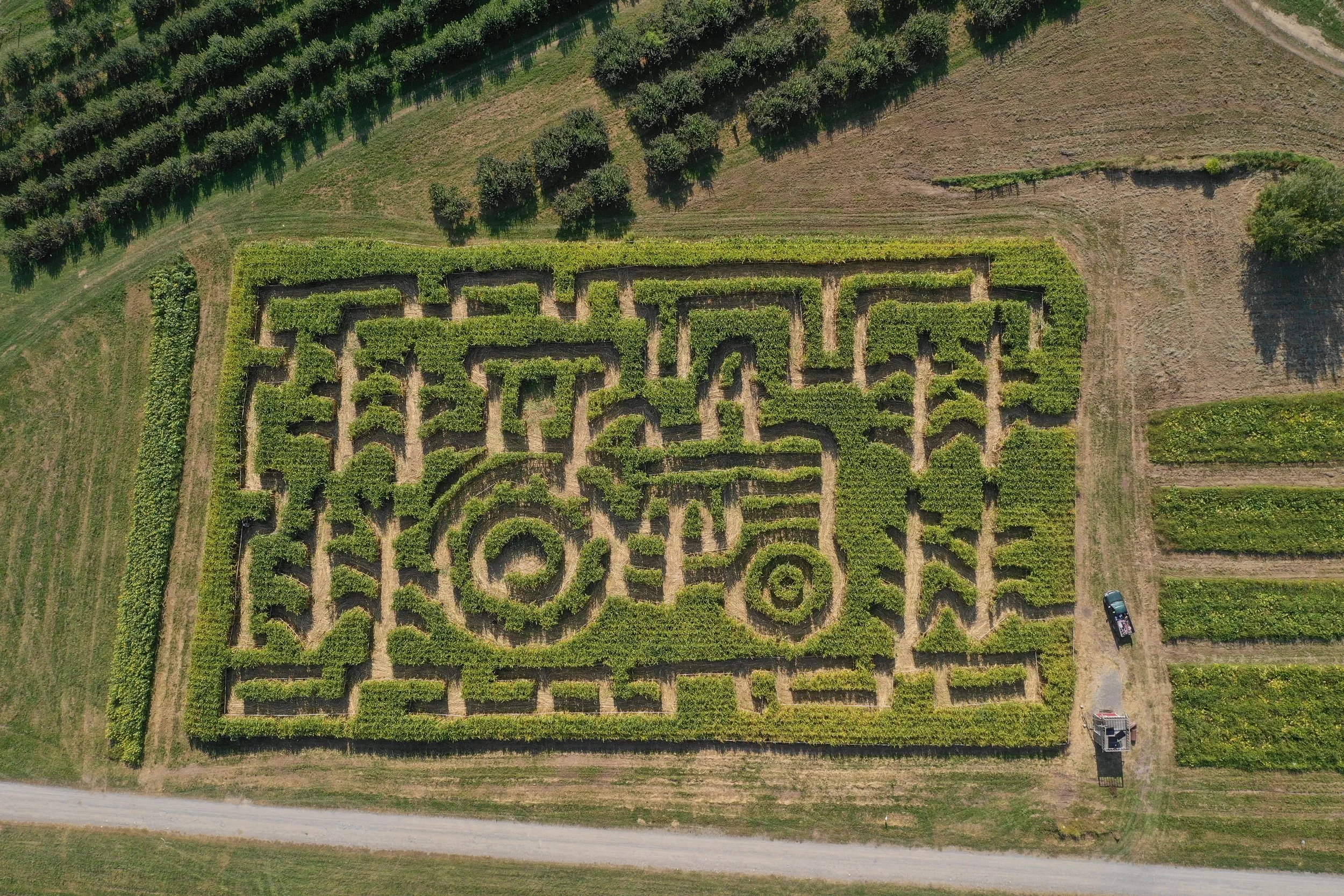 "Tractor in a Cornfield" Fishkill Farms Corn Maze 2024