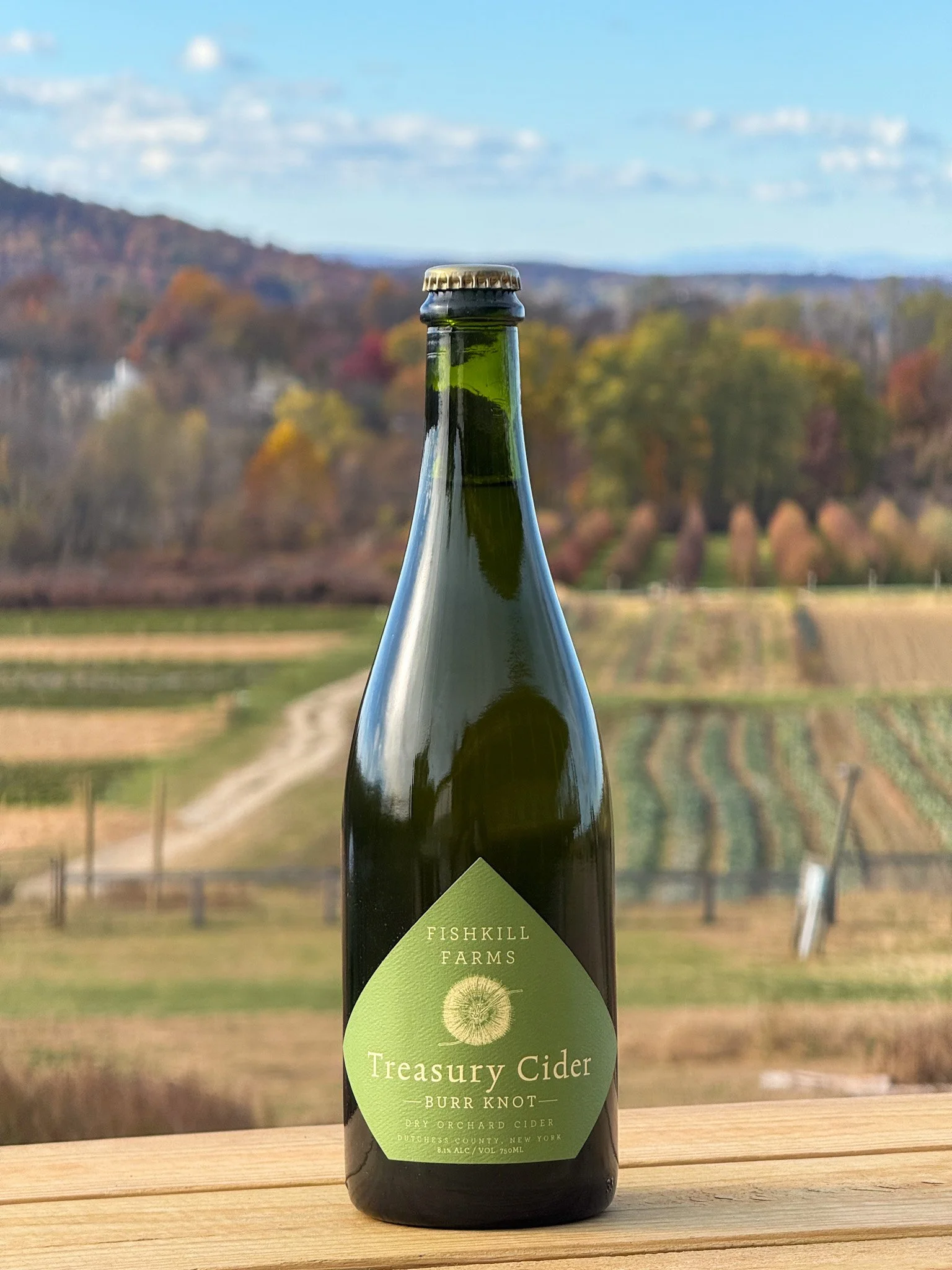 Treasury Cider "Burr Knot"