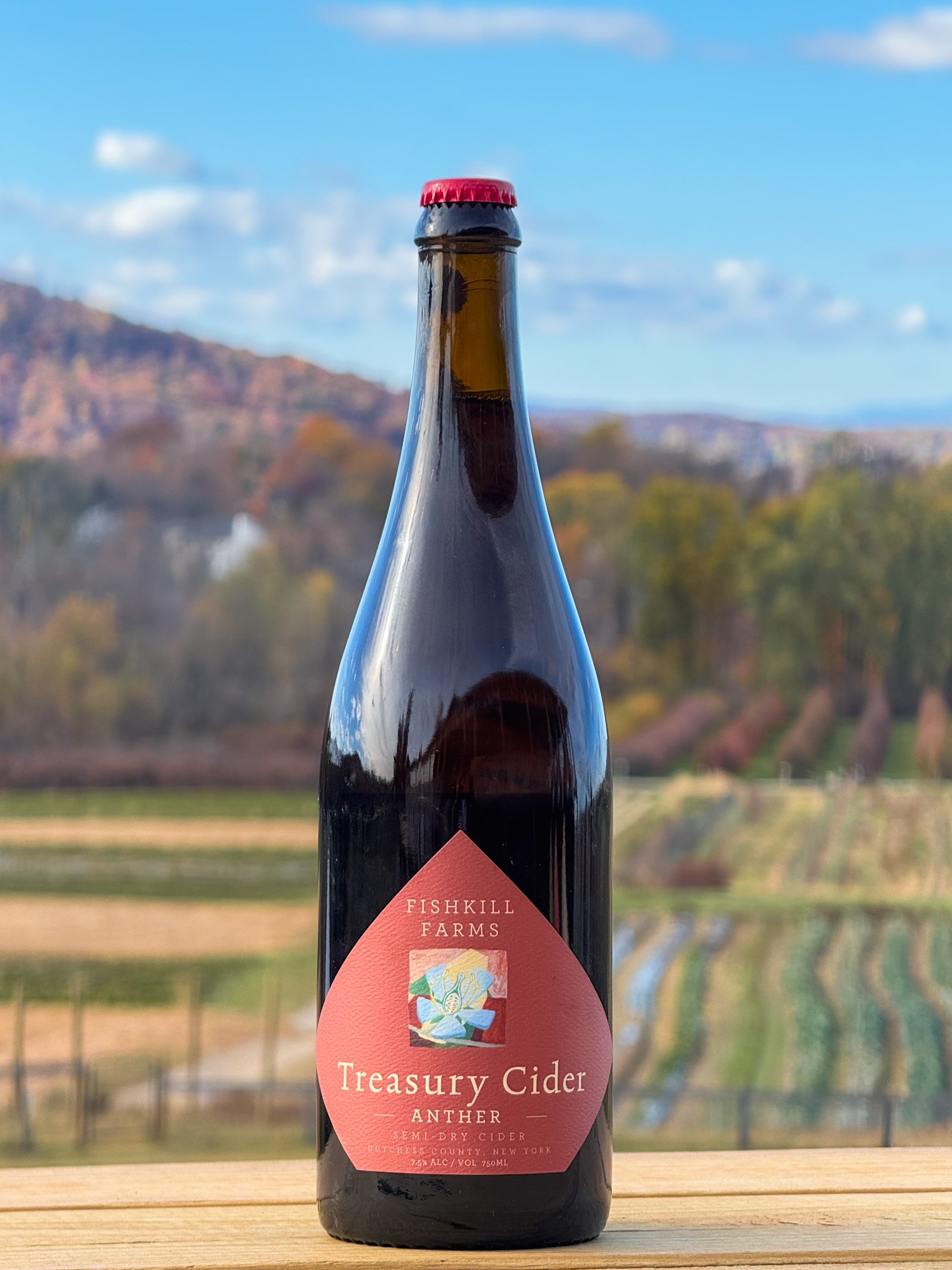 Treasury Cider "Anther"
