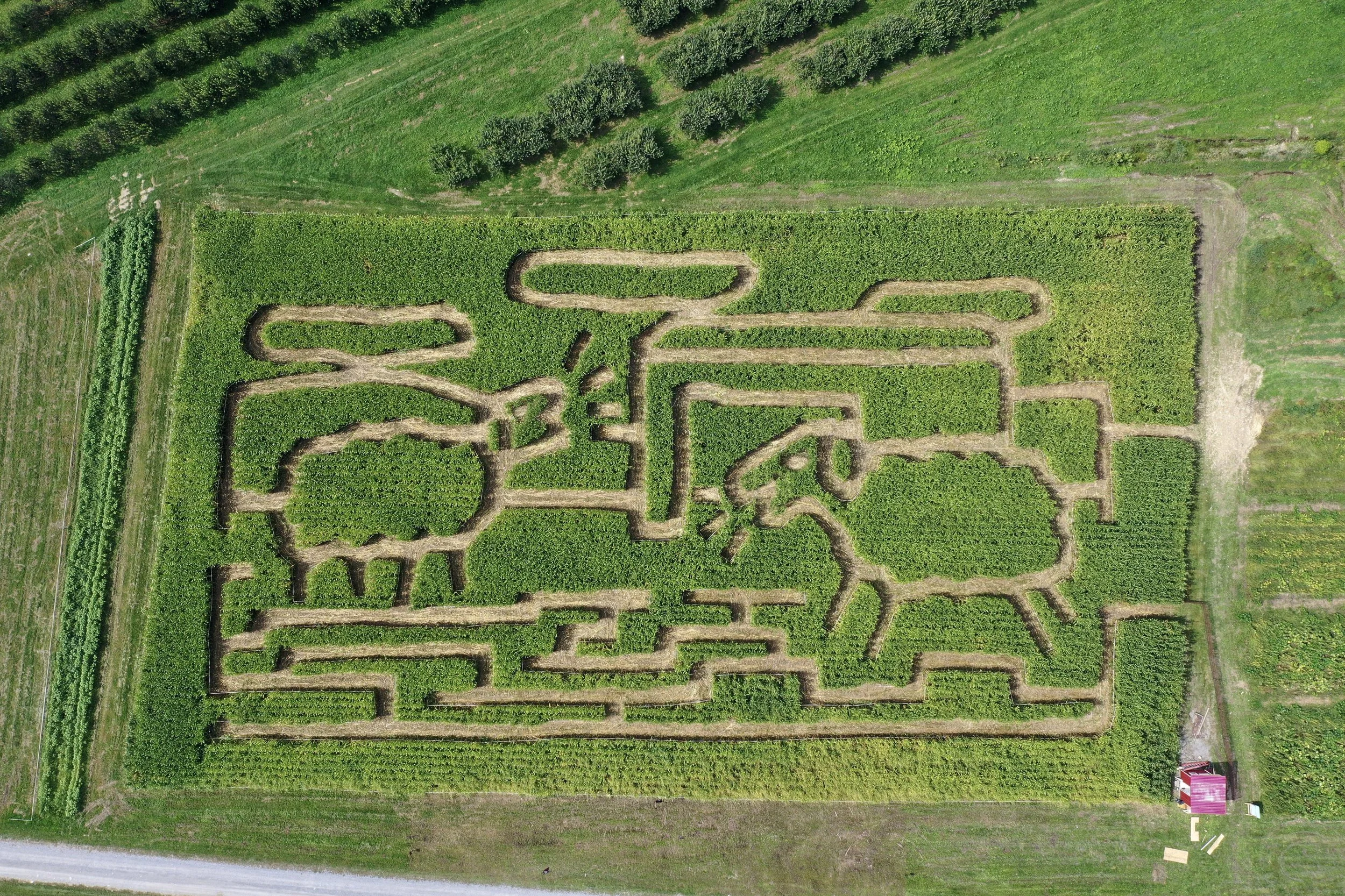 "The Conversation" Fishkill Farms Corn Maze 2026