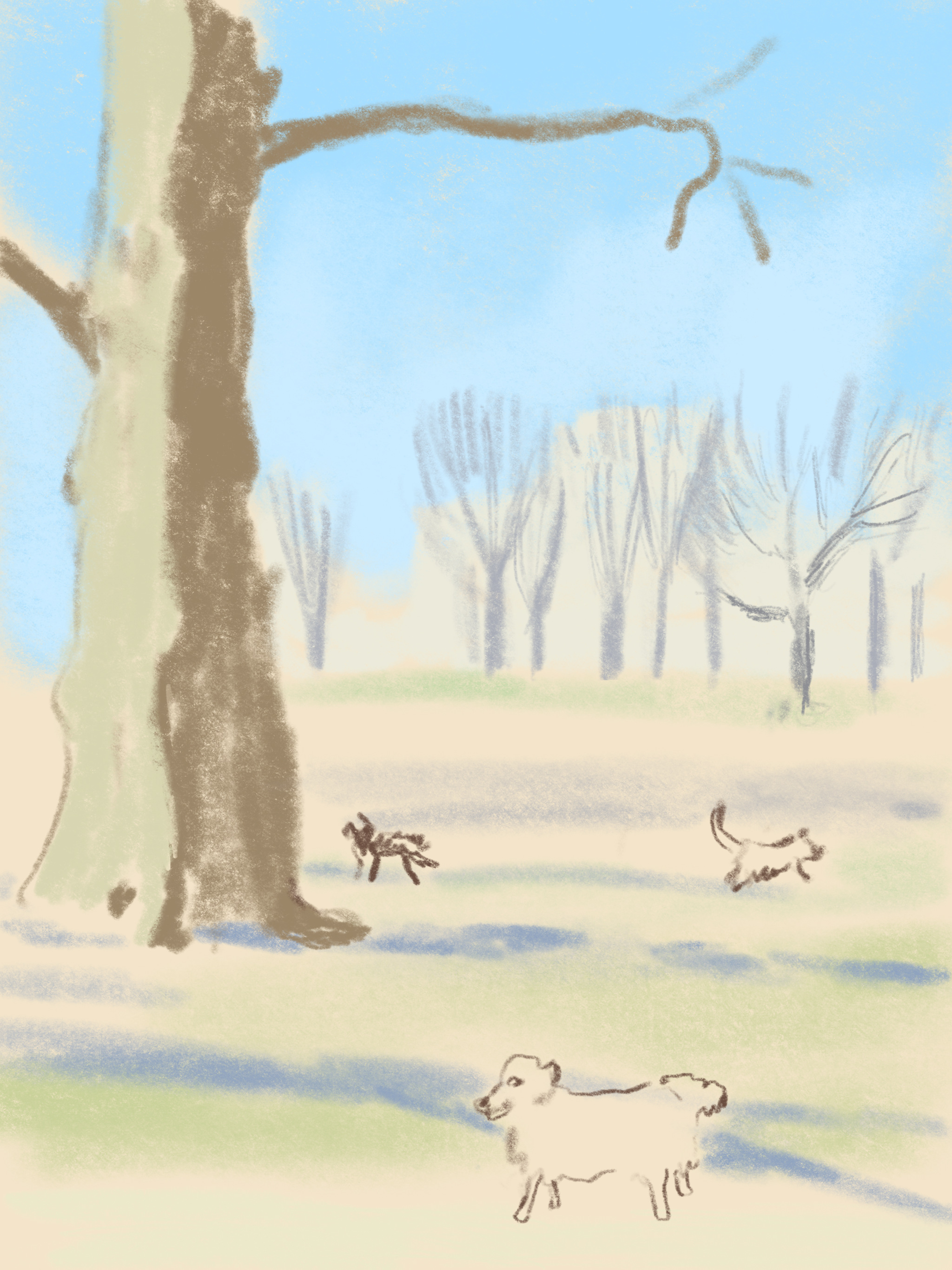 IMG_0041.PNG