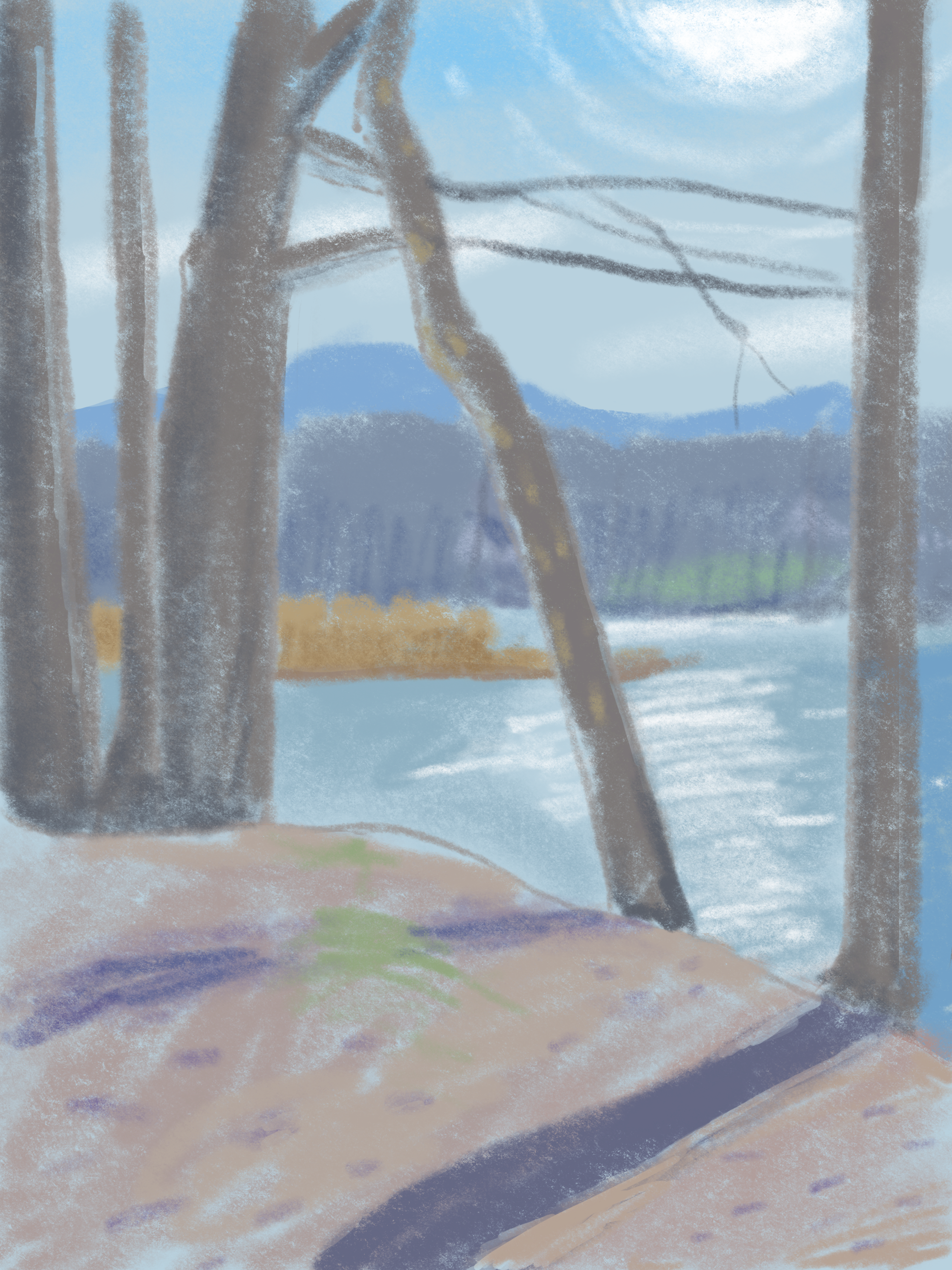 IMG_0042.PNG