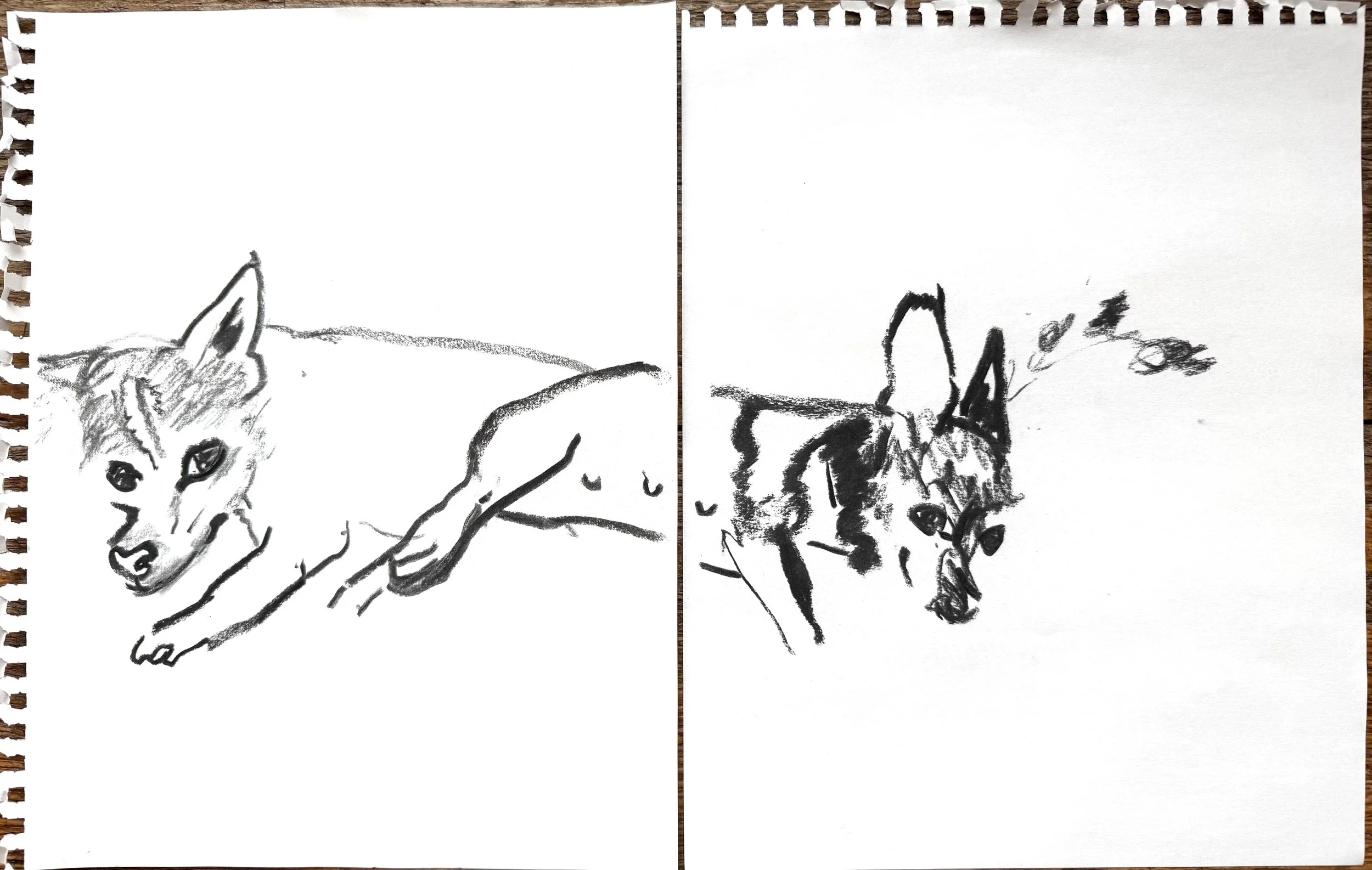 Drawings