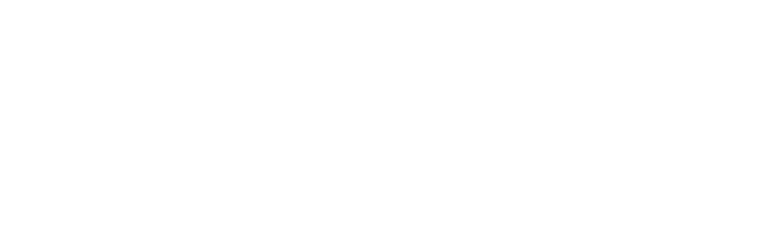 White ornate floral decorative flourish design.