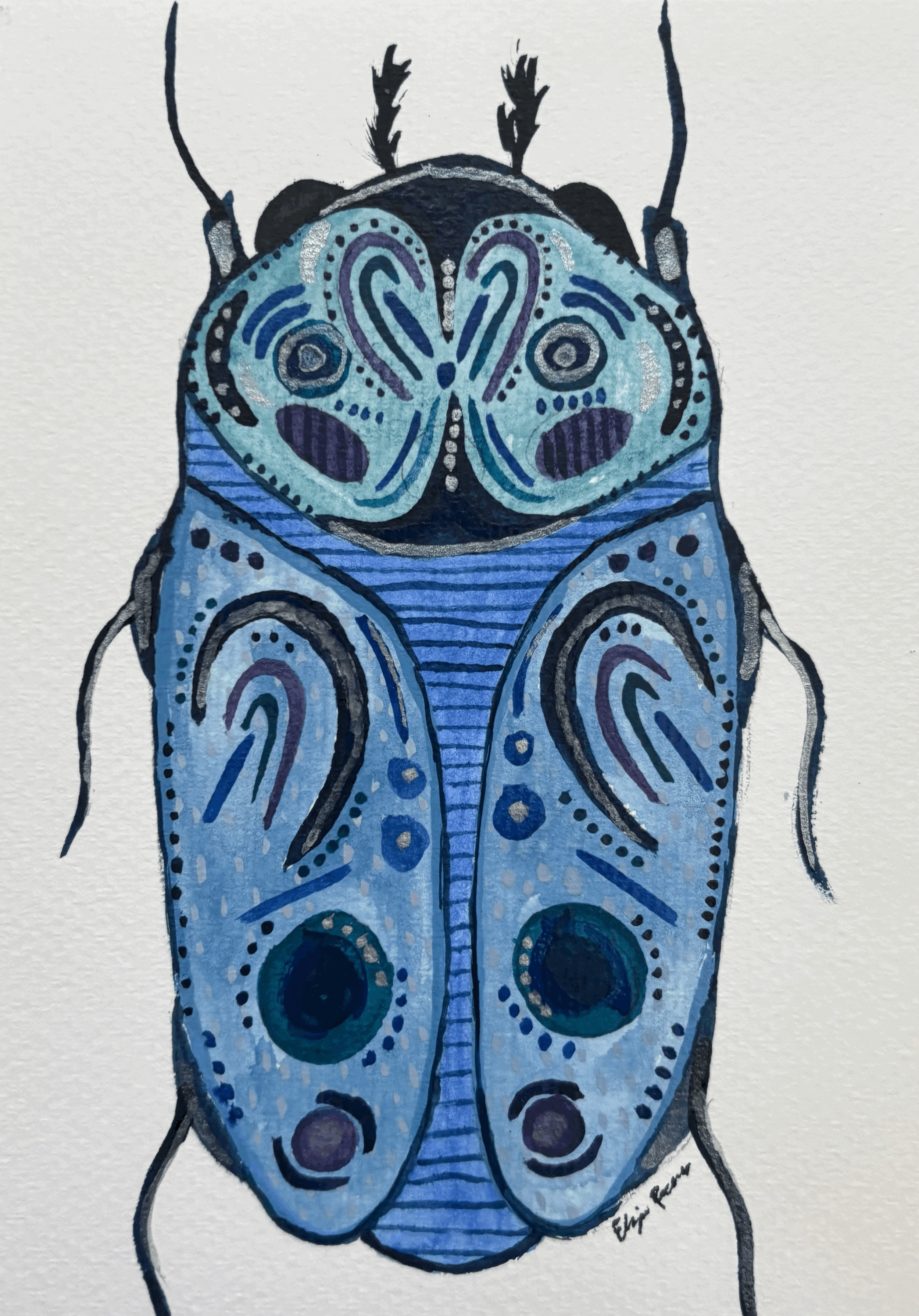 "Blue Sky" Beetle