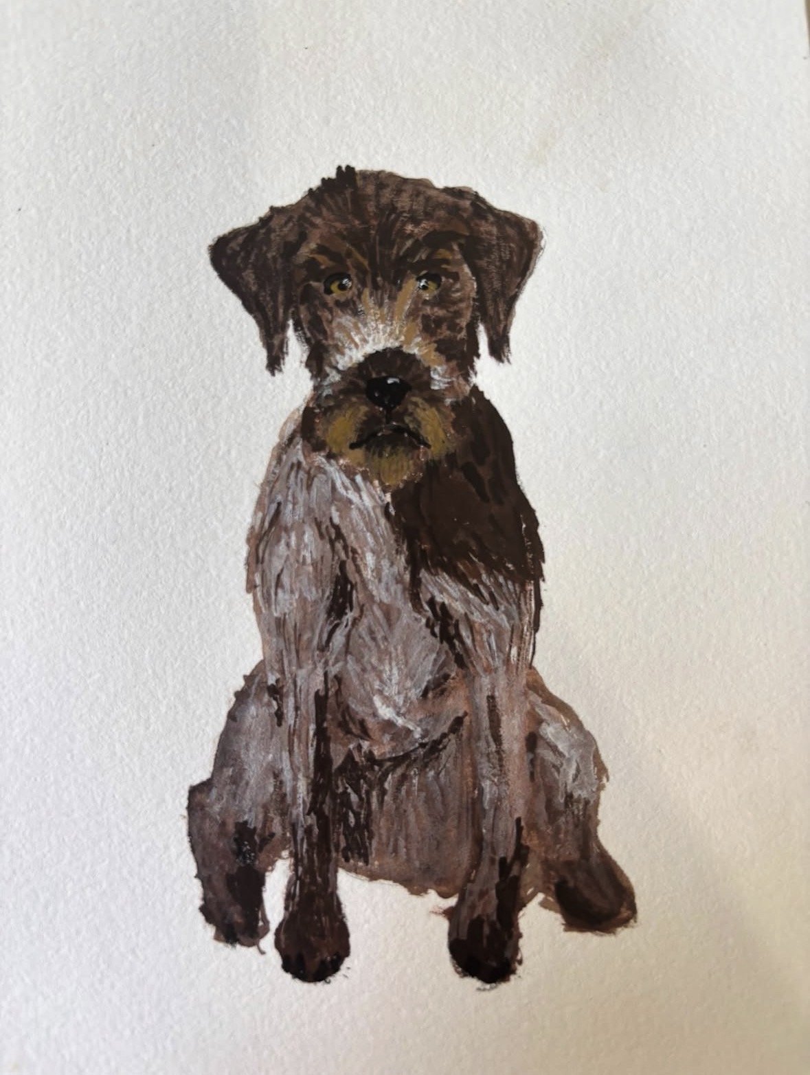 Pet Portrait