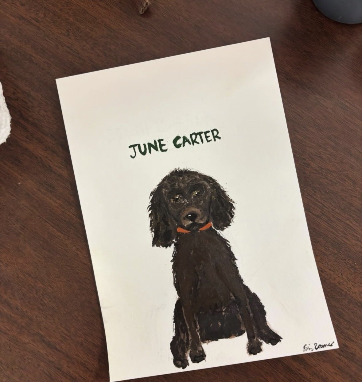 Pet Portrait