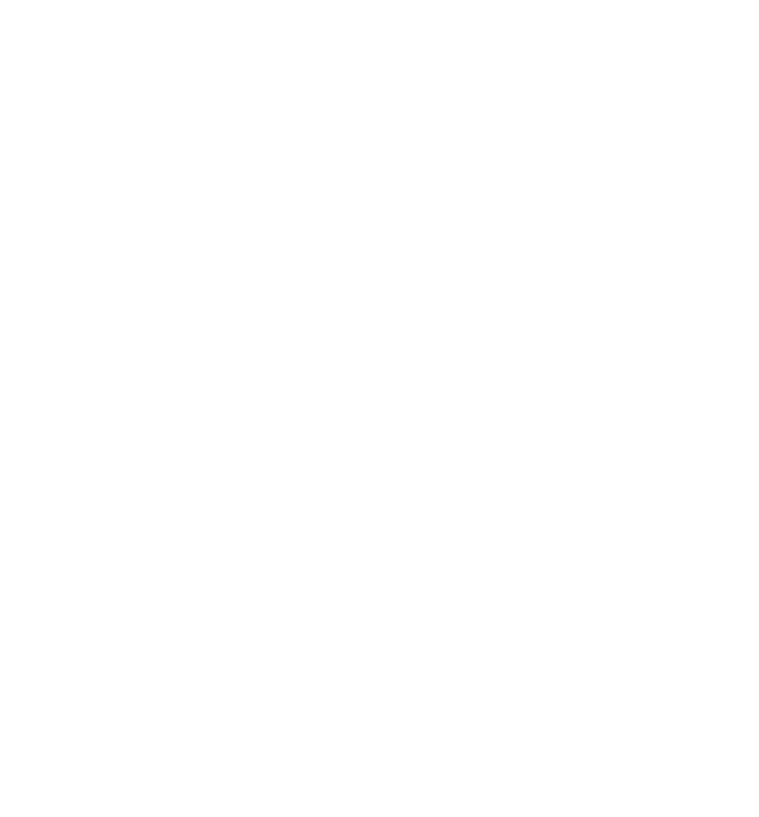 EmLu Consulting