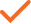 Orange check mark icon