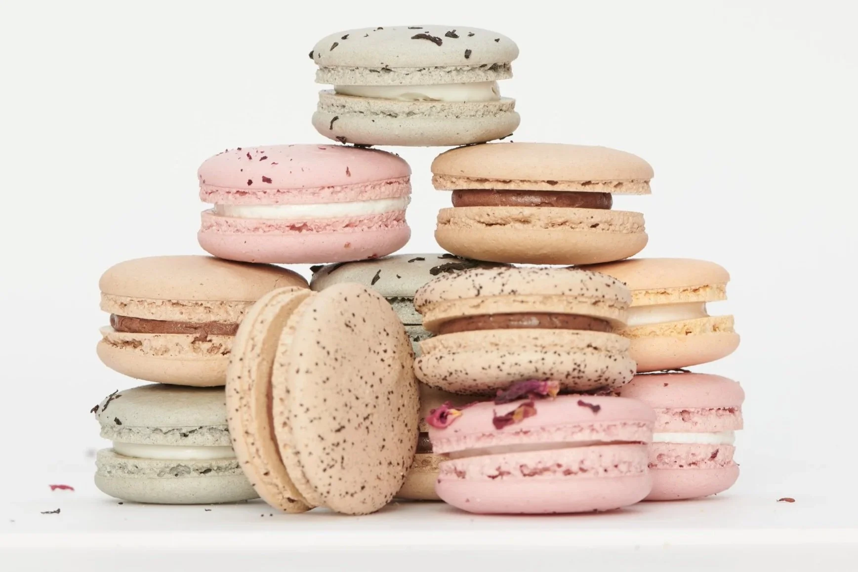 Plantisserie Macarons