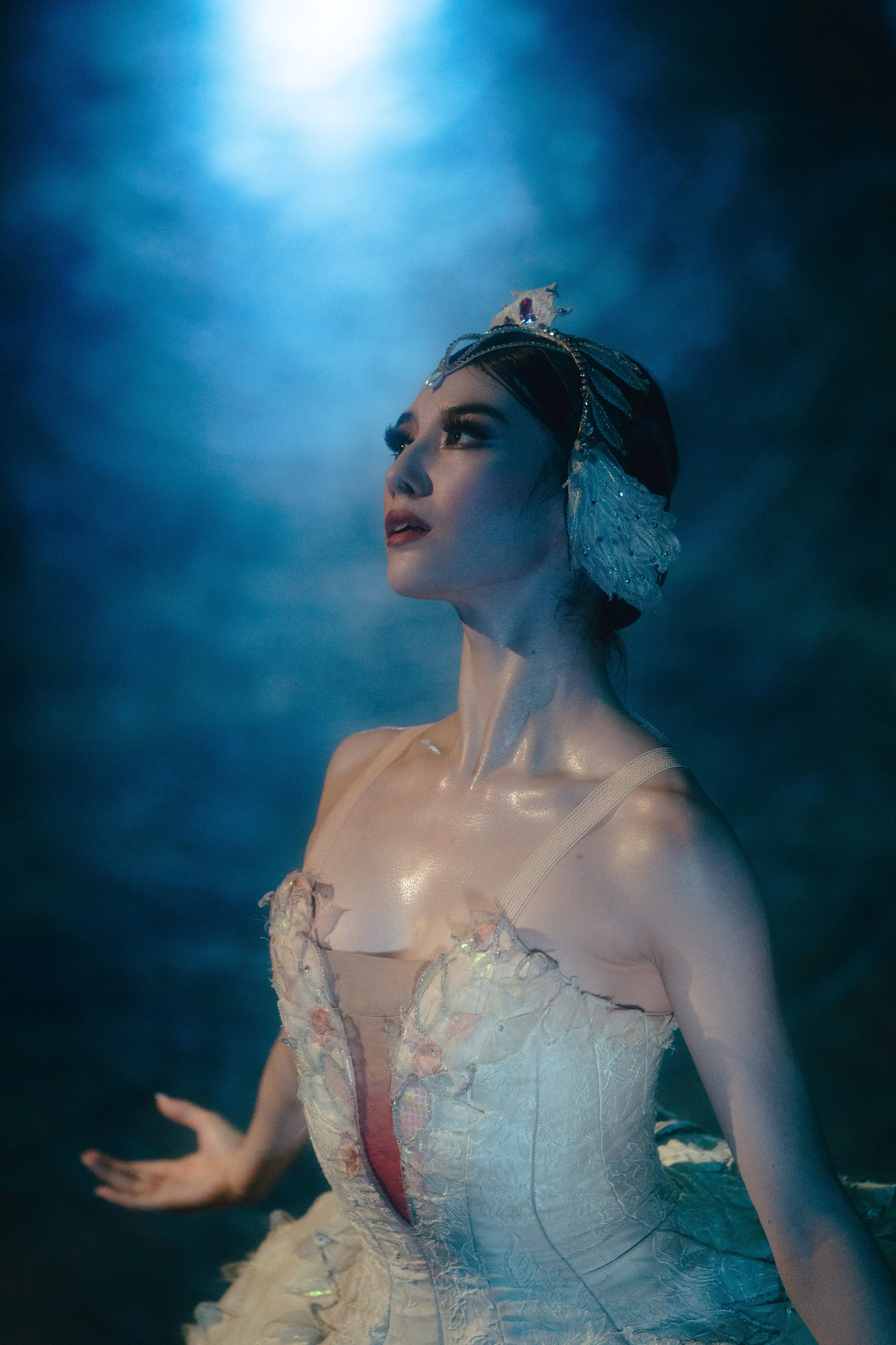 swans bts-5 2.JPG