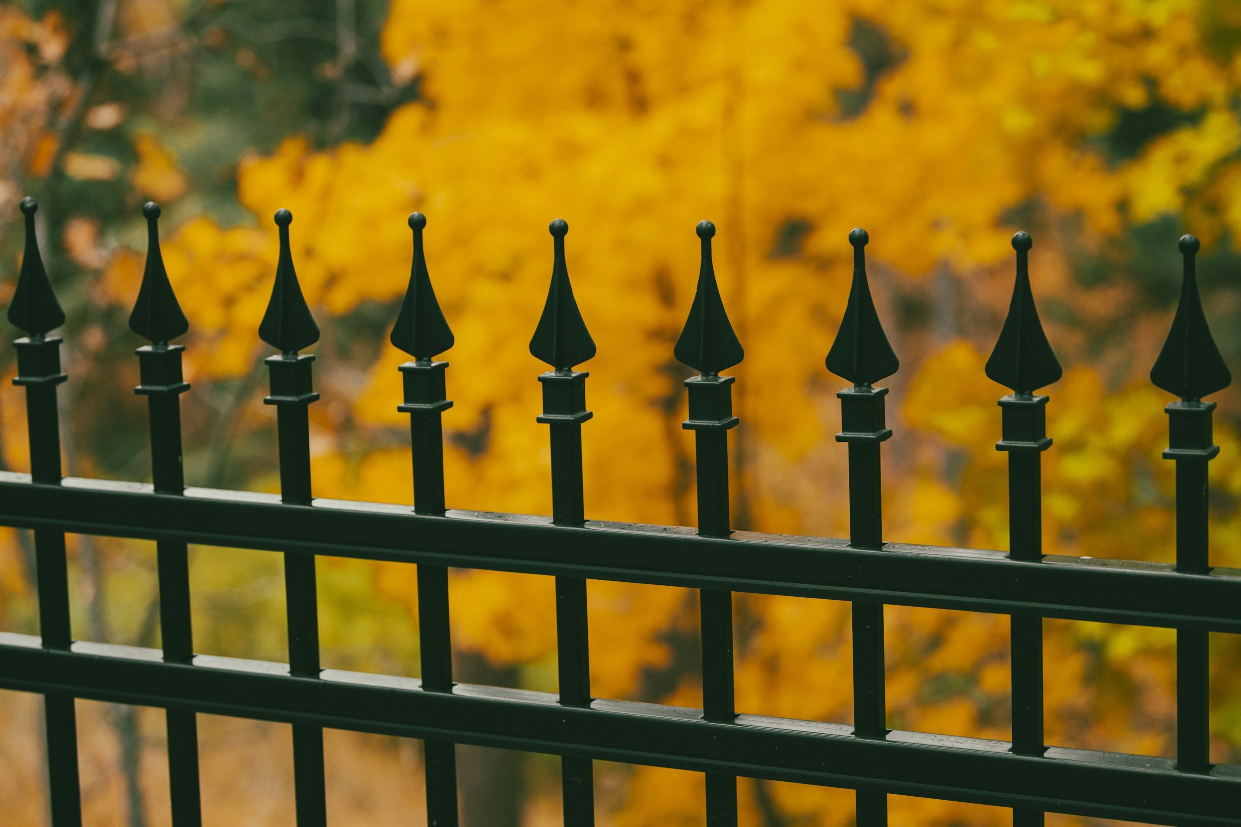 A close-up view of a black metal fence with pointed finials, against a blurred background of yellow and orange autumn leaves.