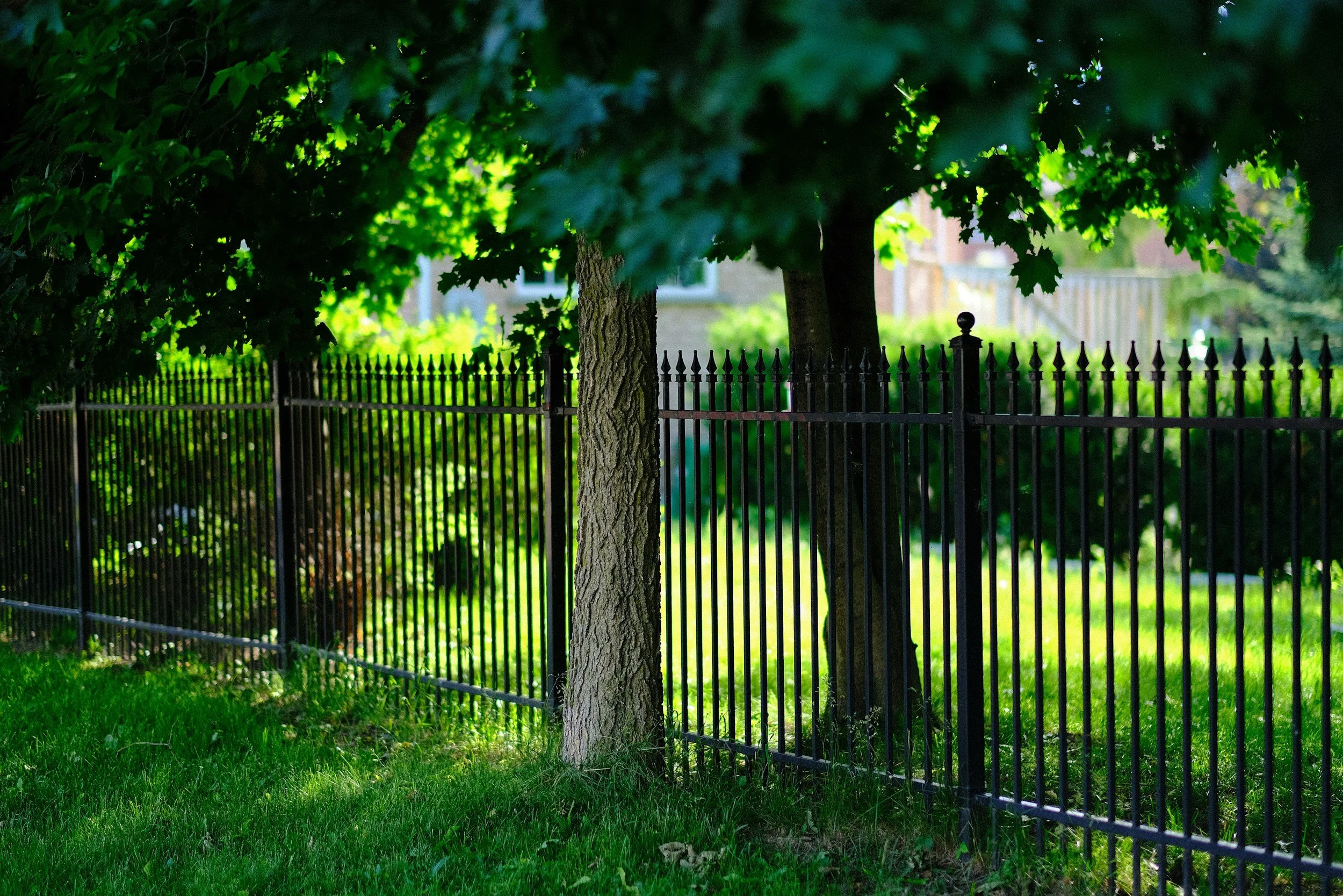 unsplash-image-bzqc09sK_D0.jpg