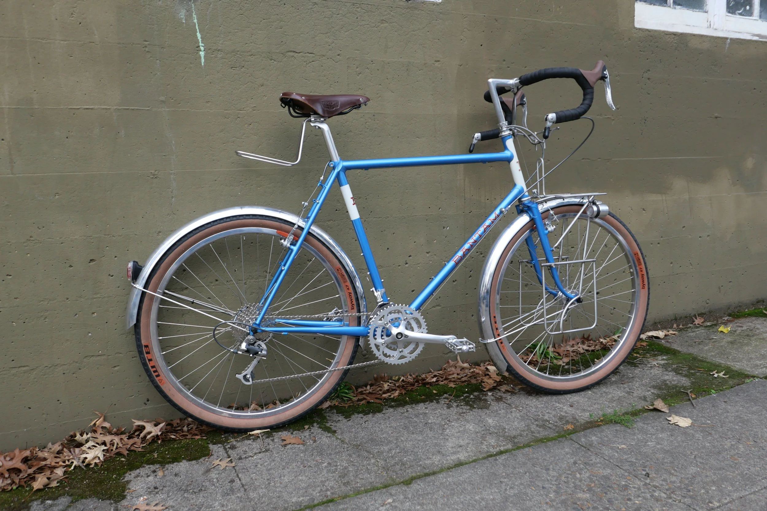 blue-rando-100_51844007167_o.jpg