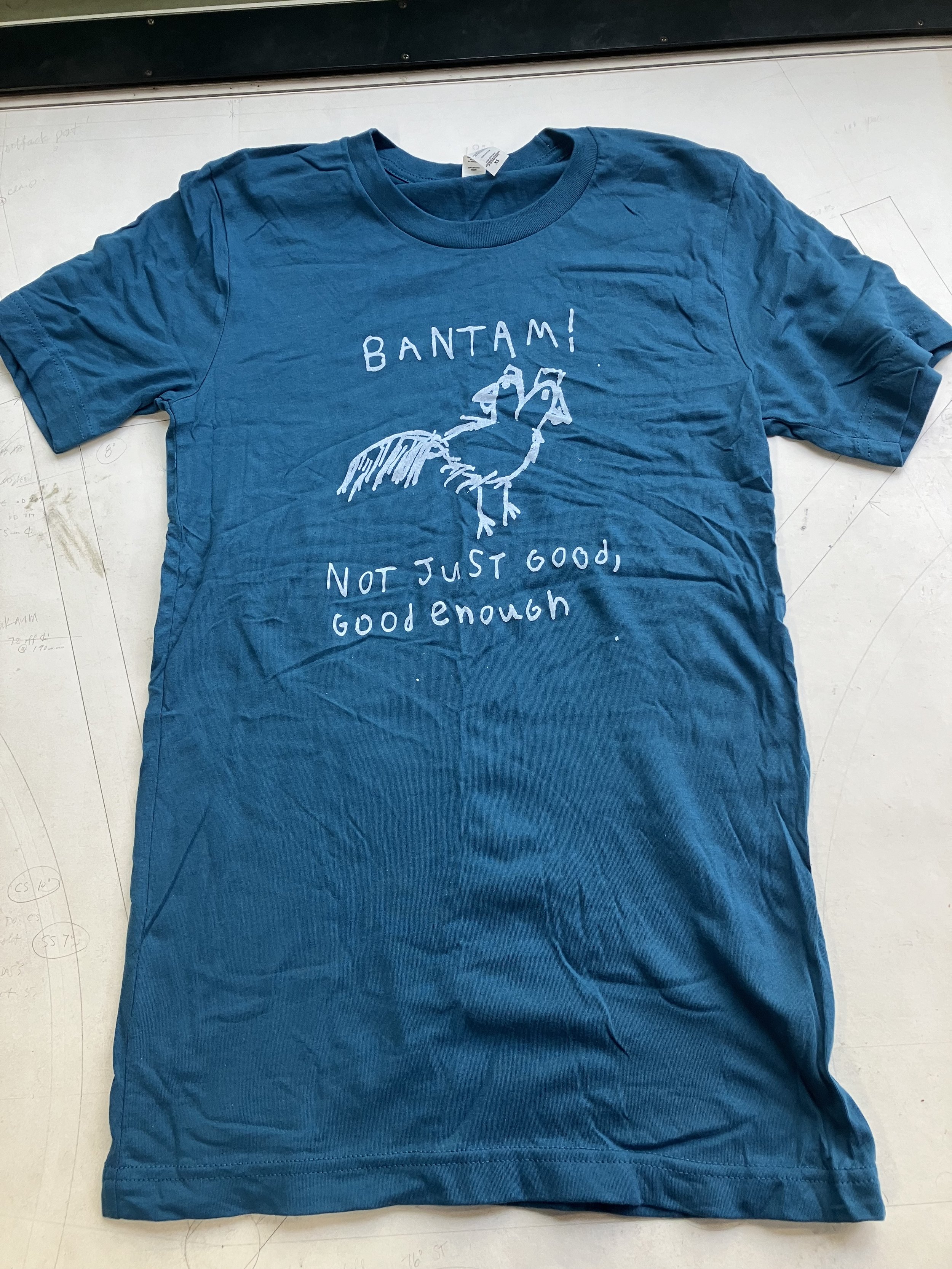 teal shirt.jpeg
