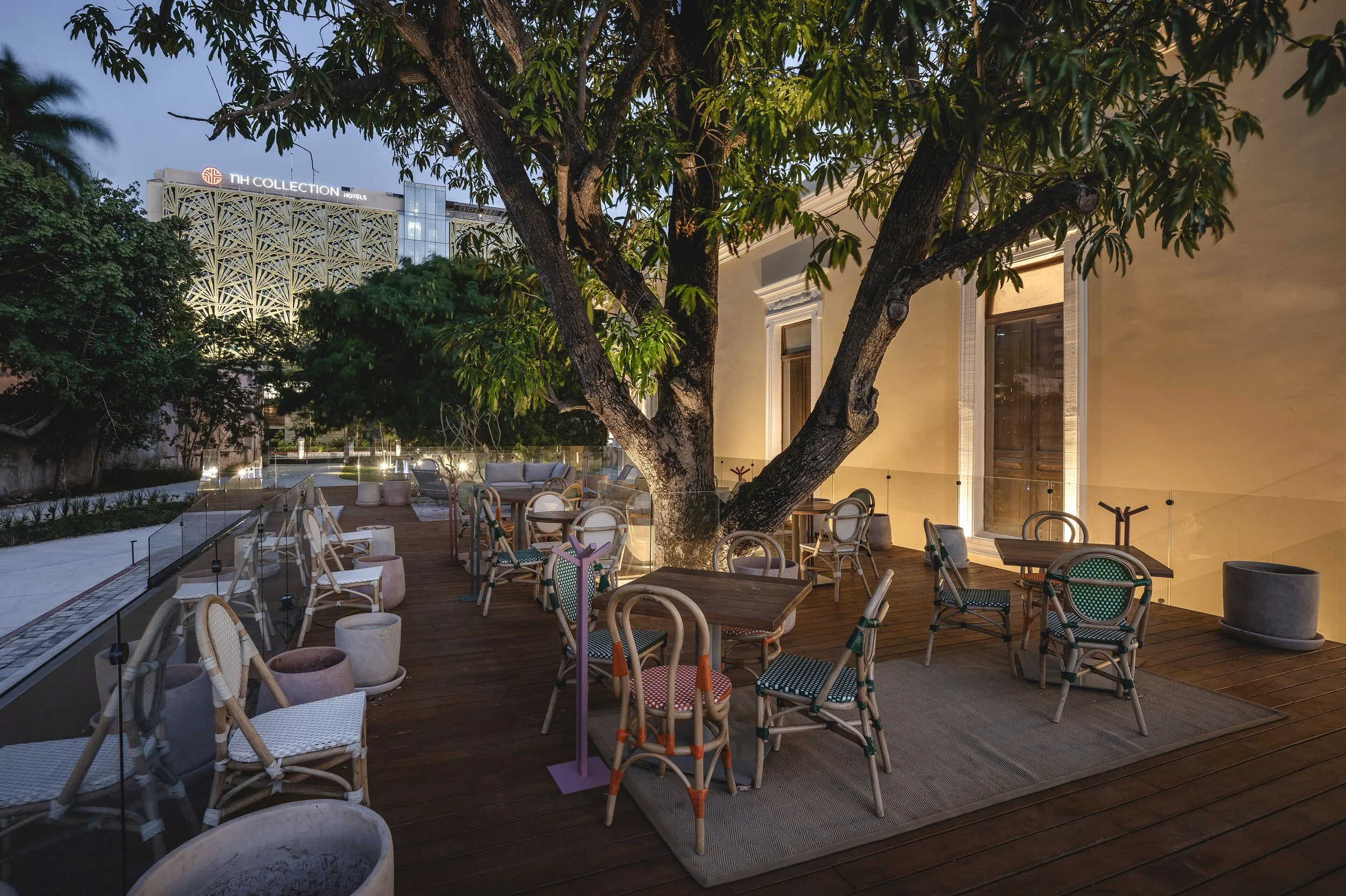 Terraza al aire libre en la noche con mesas y sillas, un árbol grande en el centro y edificios modernos iluminados al fondo.