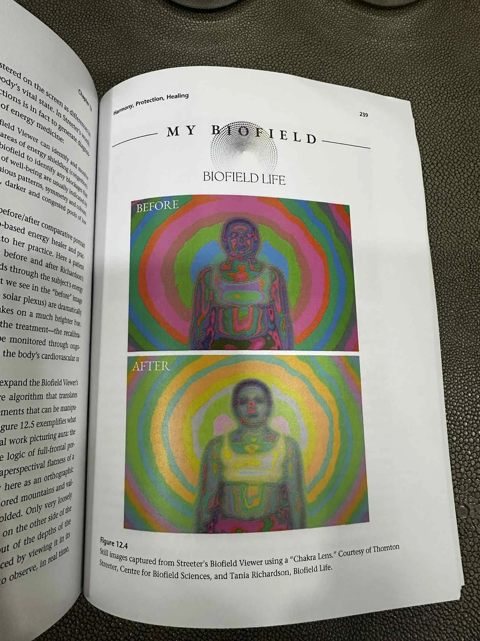 A page from a book titled 'My Biofield' showing a colorful illustration of a human figure surrounded by concentric rainbow-colored rings, with the words 'Before' and 'After' above the images.