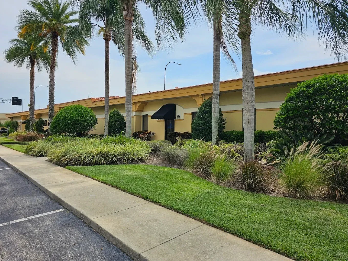 A row of palm trees and well-manicured bushes along a sidewalk in front of a single-story building with yellow walls and black awnings.
