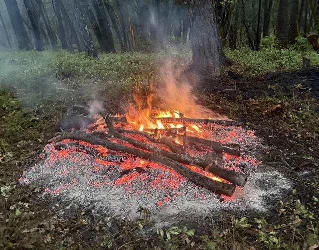 Flame.webp