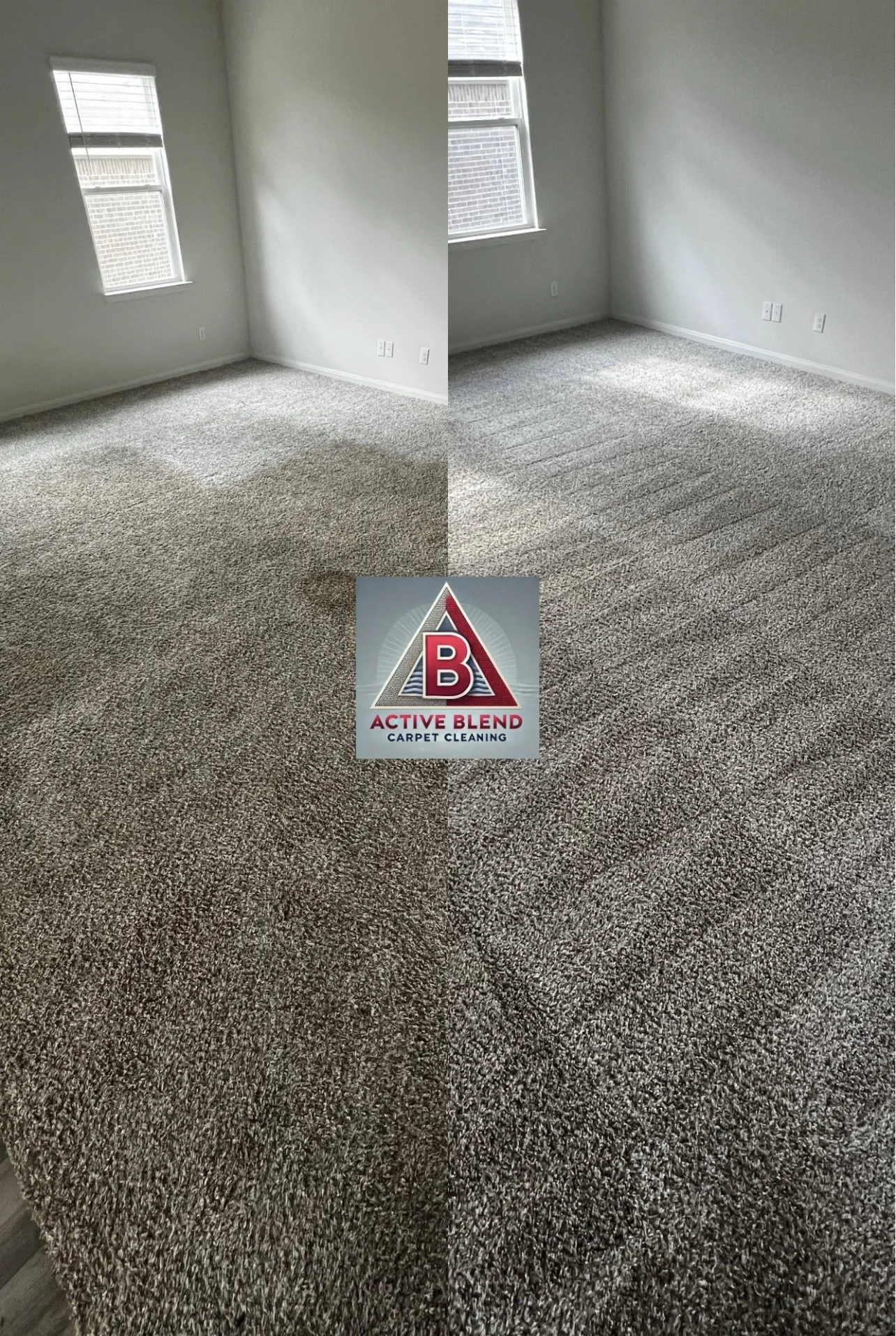 Move Out carpet clean