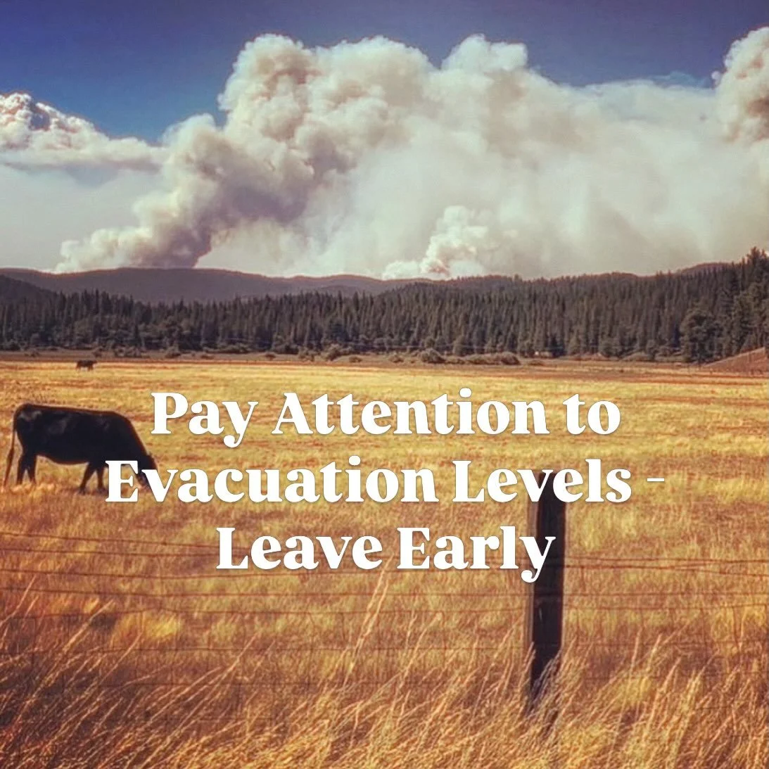 Pay close attention to evacuation levels. 

Remember &mdash; you can always evacuate early, and we highly encourage it. 

Evacuation levels exist for a reason. They are not suggestions. They are the result of trained people watching fire behavior in 
