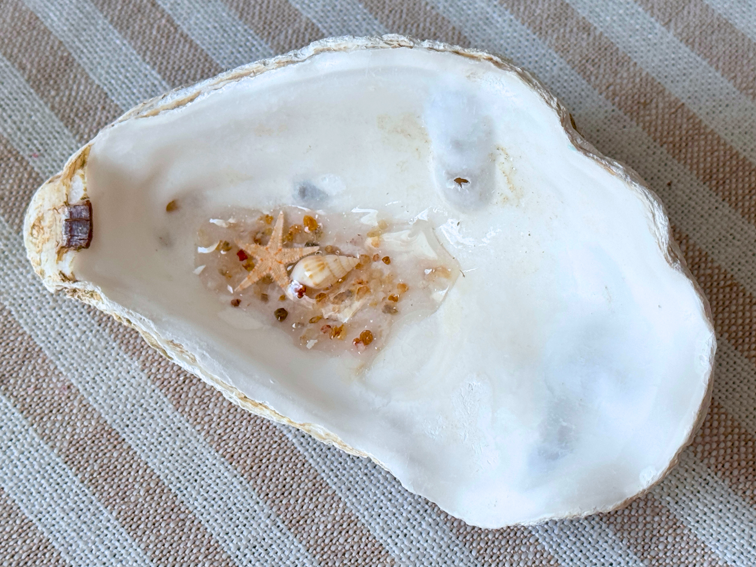 The Simplicity Pool | Raw Crystal Chip & Gilded Ocean Oyster Shell Altar Dish