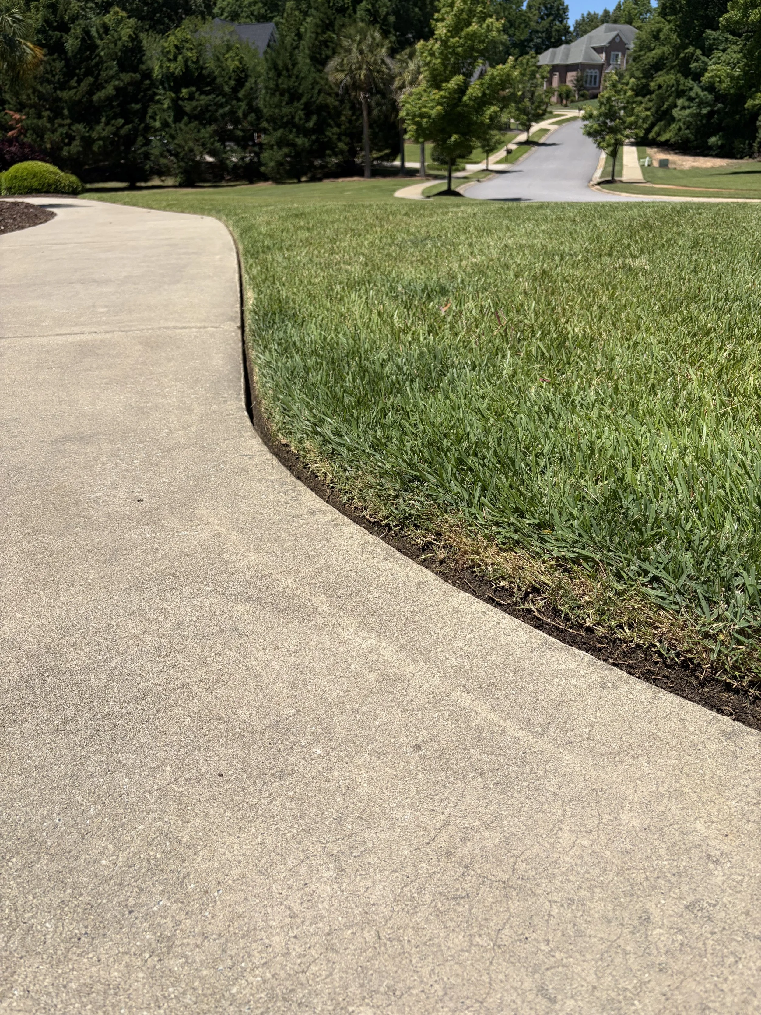 A concrete sidewalk running alongside a grassy lawn in a suburban neighborhood with houses and trees in the background.