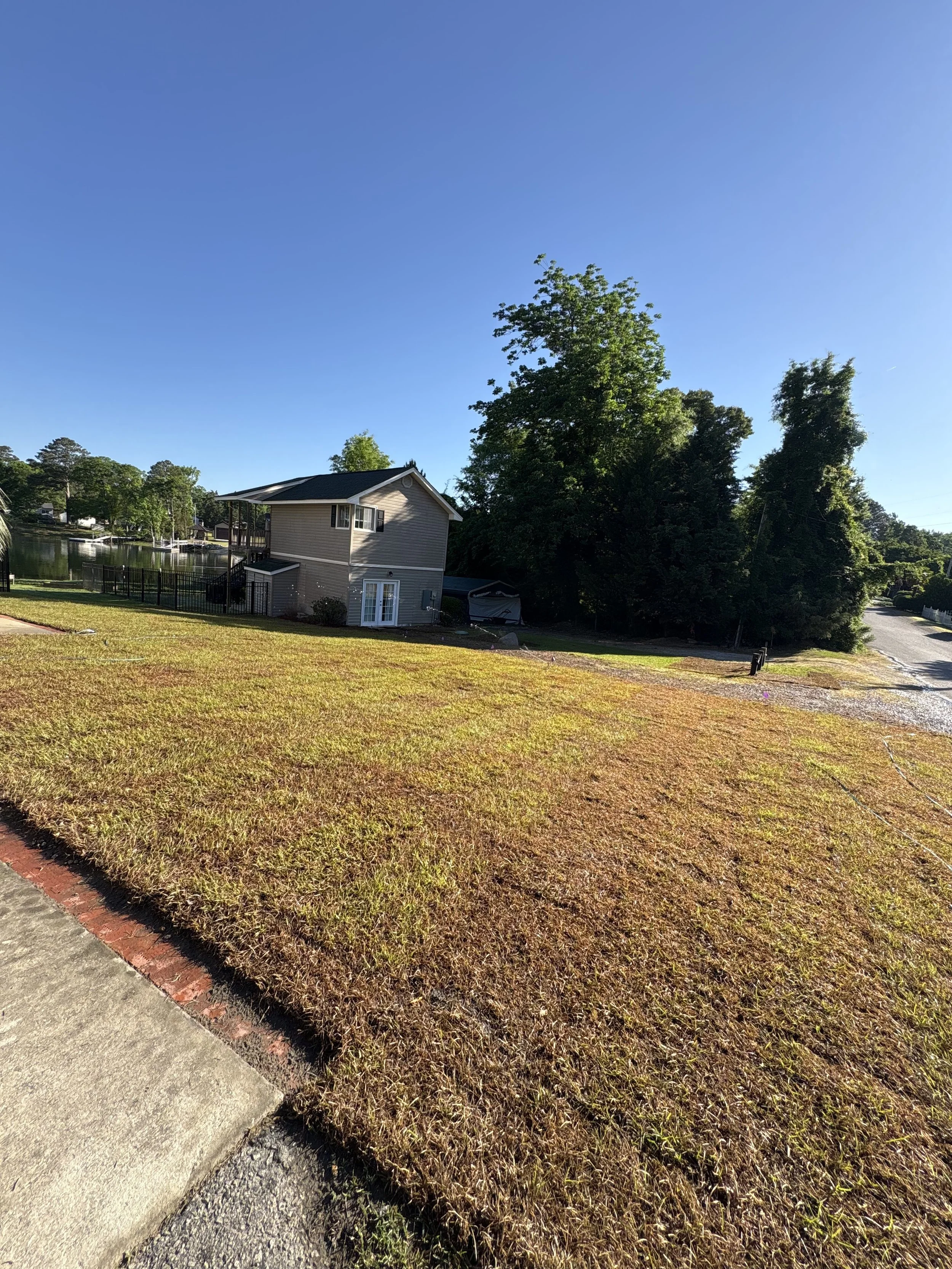 A suburban backyard with a grassy area, a house with a second-story deck, trees, and a clear blue sky.