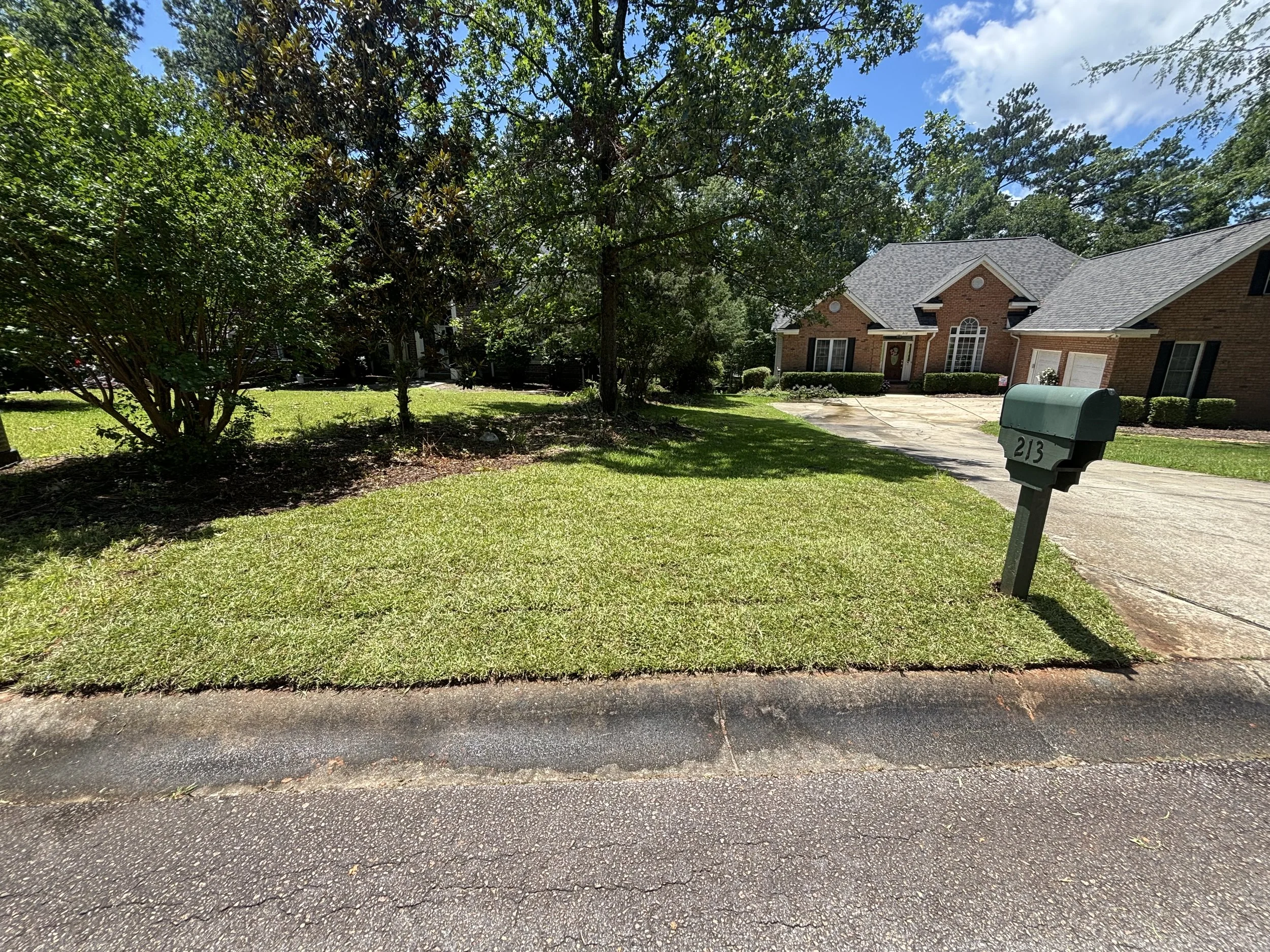 A suburban front yard with a green lawn, a sidewalk, and a brick house with a gray shingle roof. There are trees and bushes in the yard and a mailbox labeled '213' near the curb on a sunny day with partly cloudy sky.