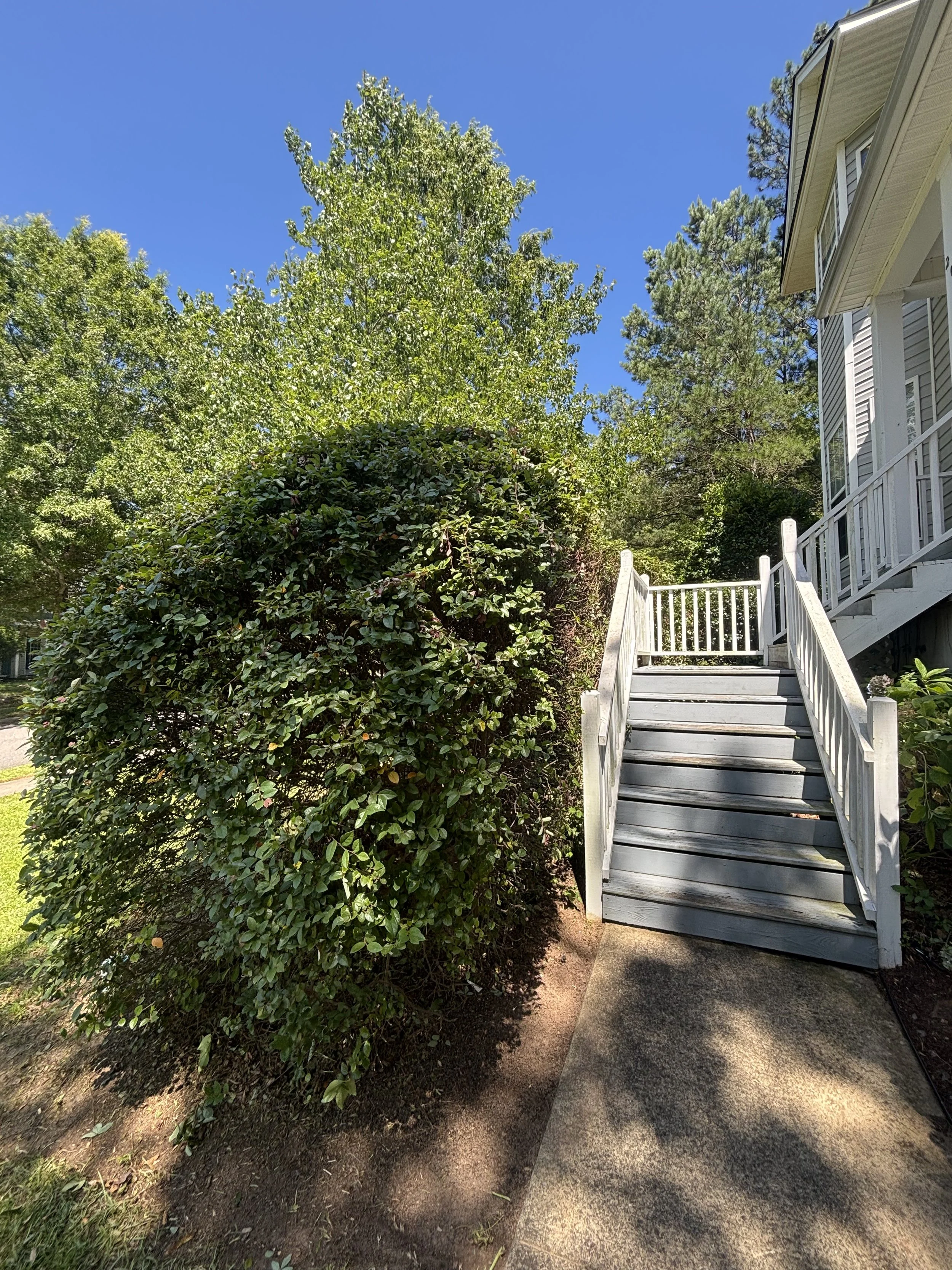 A wooden staircase with white railings leads up to a porch of a house, surrounded by green bushes and trees under a clear blue sky.